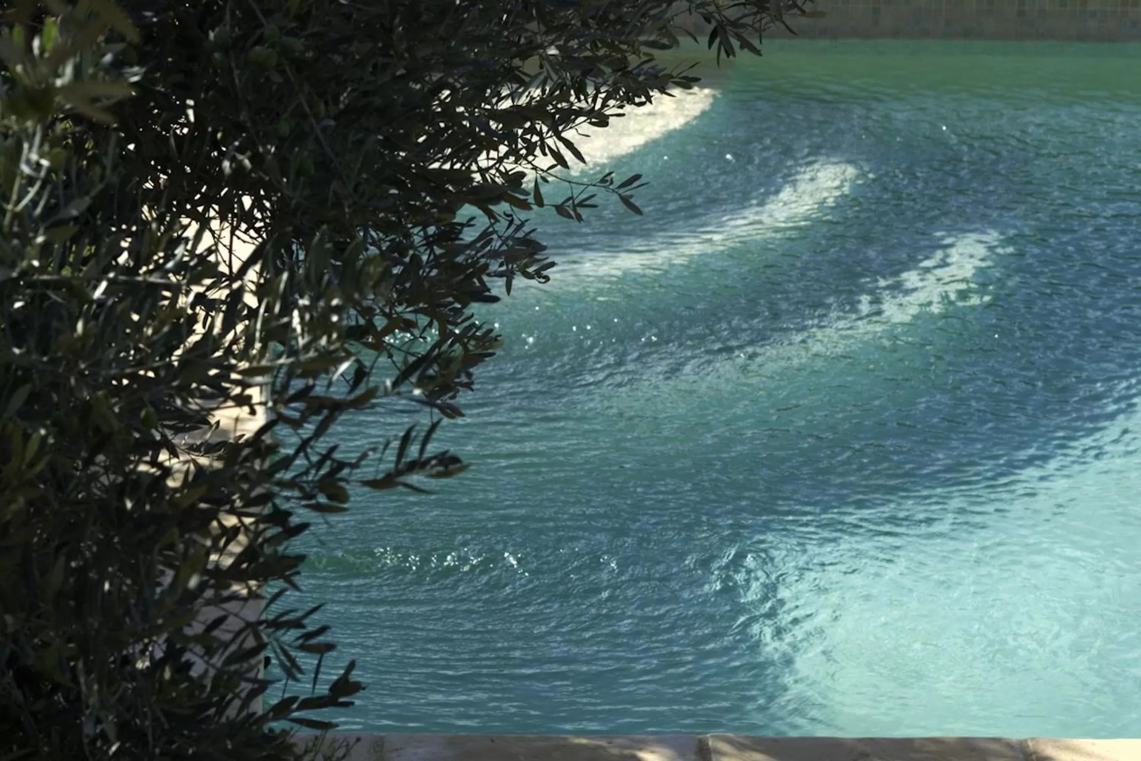 Swimming pool in Mas de l'Olivette