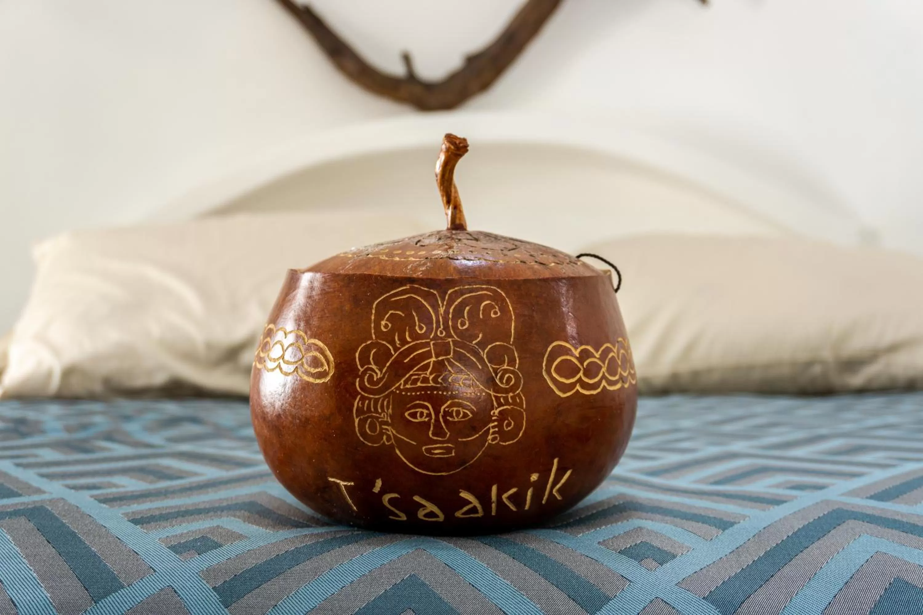 Tsaakik Jungle Hotel & Spa