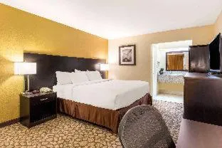 Standard King Room - Smoking in Rodeway Inn Santee I-95