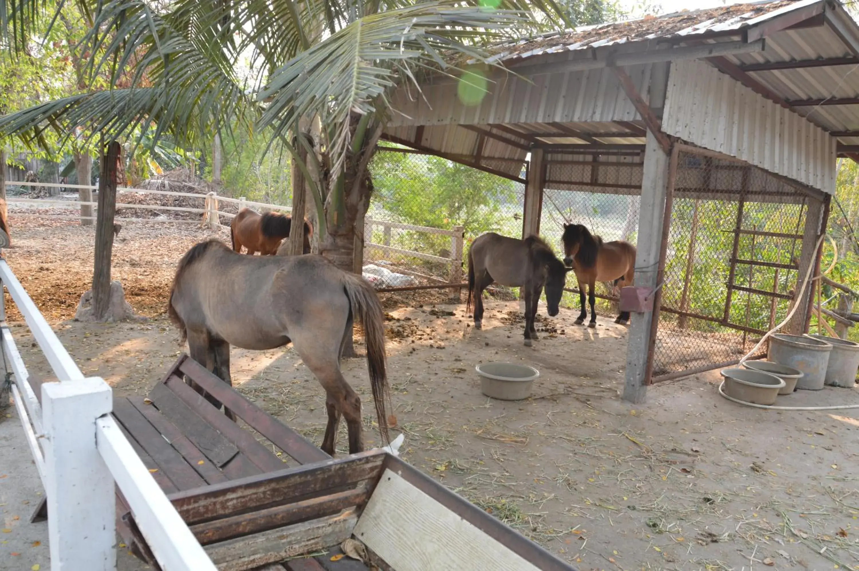 Deluxe Double Room with Garden View in Scenic Riverside Resort Deluxe Double Room with Garden View in Scenic Riverside Resort