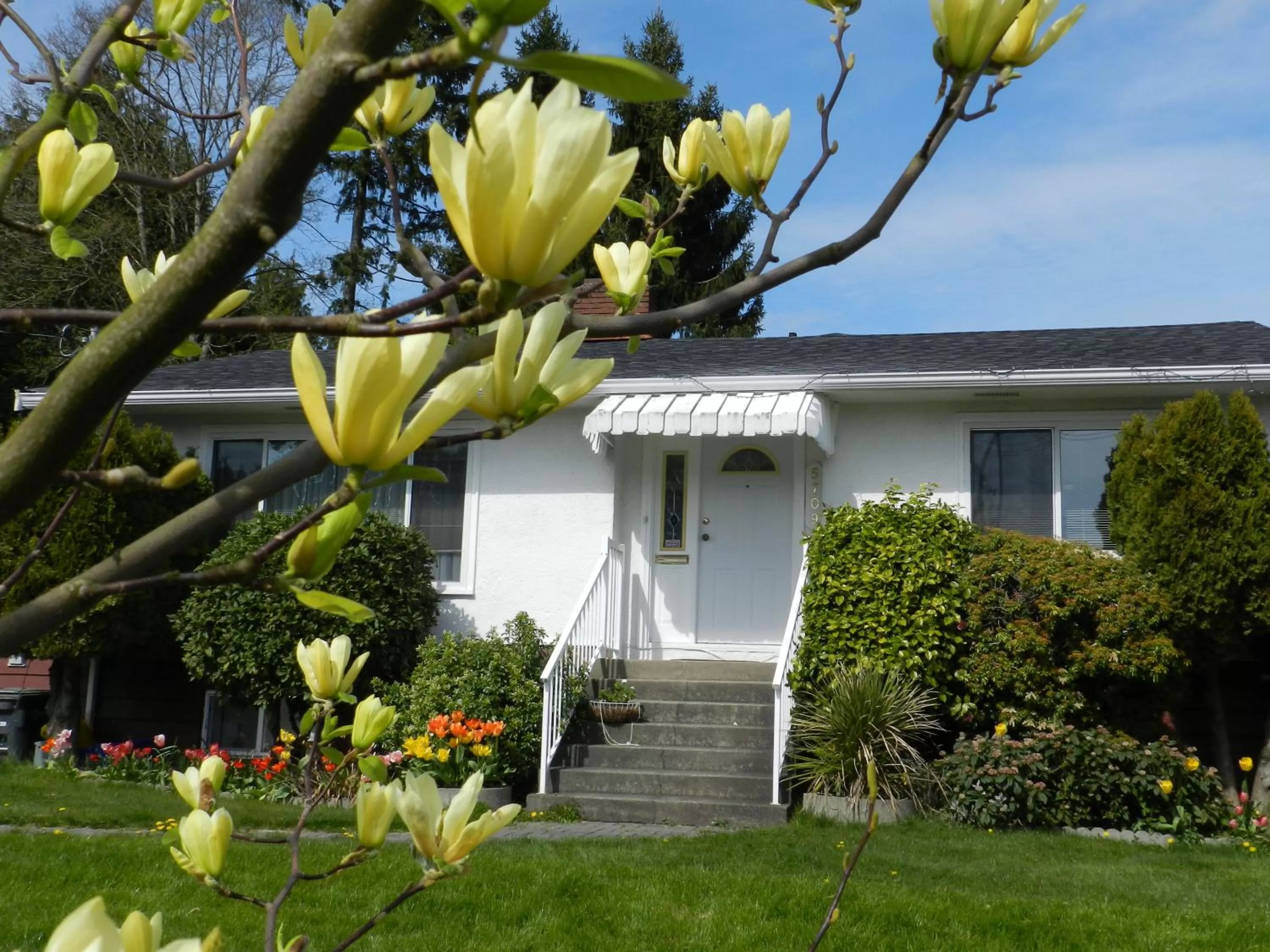 Street view, Property Building in Serenity