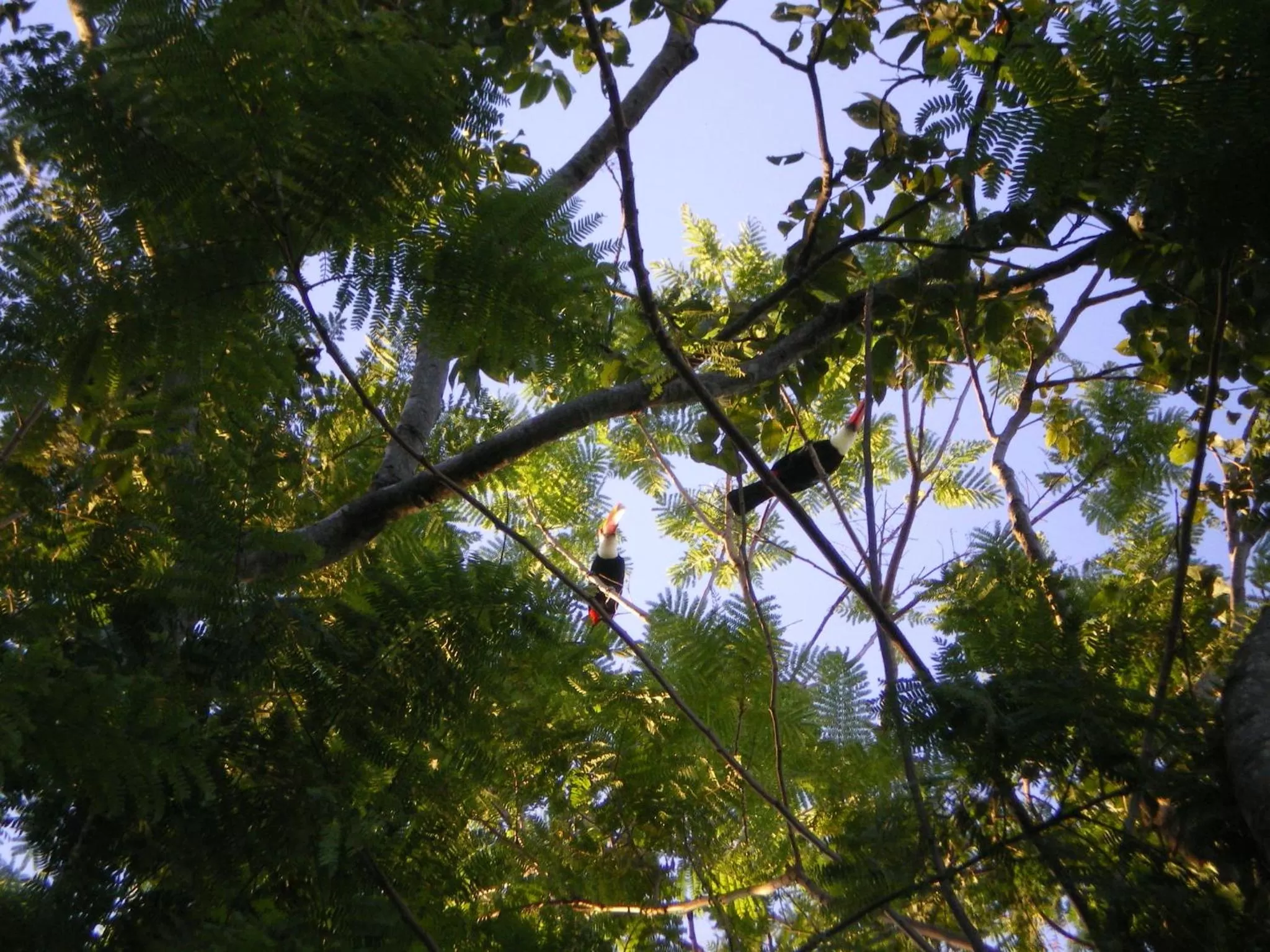 Animals, Other Animals in Pousada Di Luna