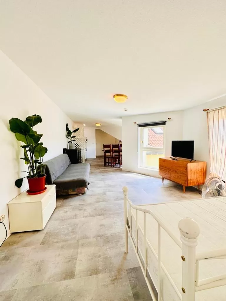 Saale, Marktplatz Zentrum, Apartmenthaus am Dom von Plant Room