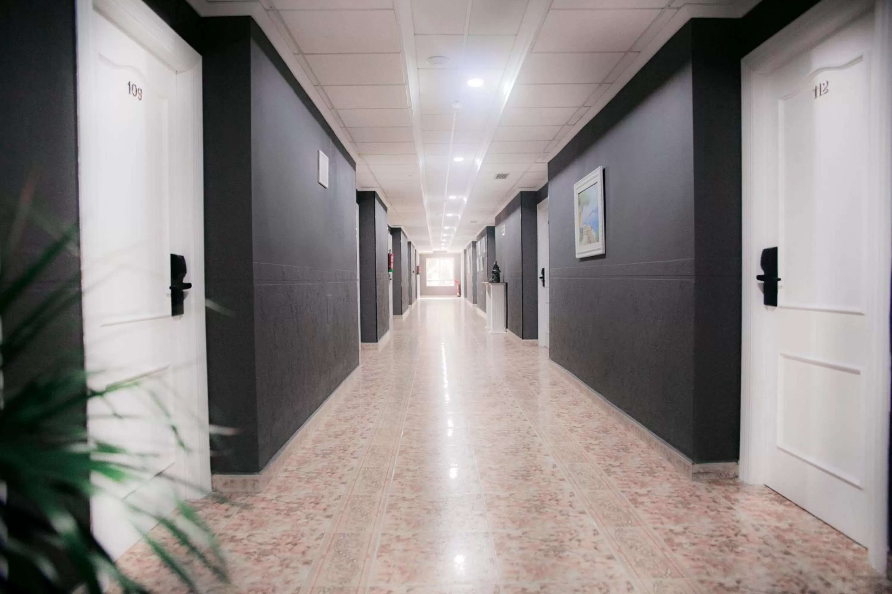 Patio in Hotel ParqueMar