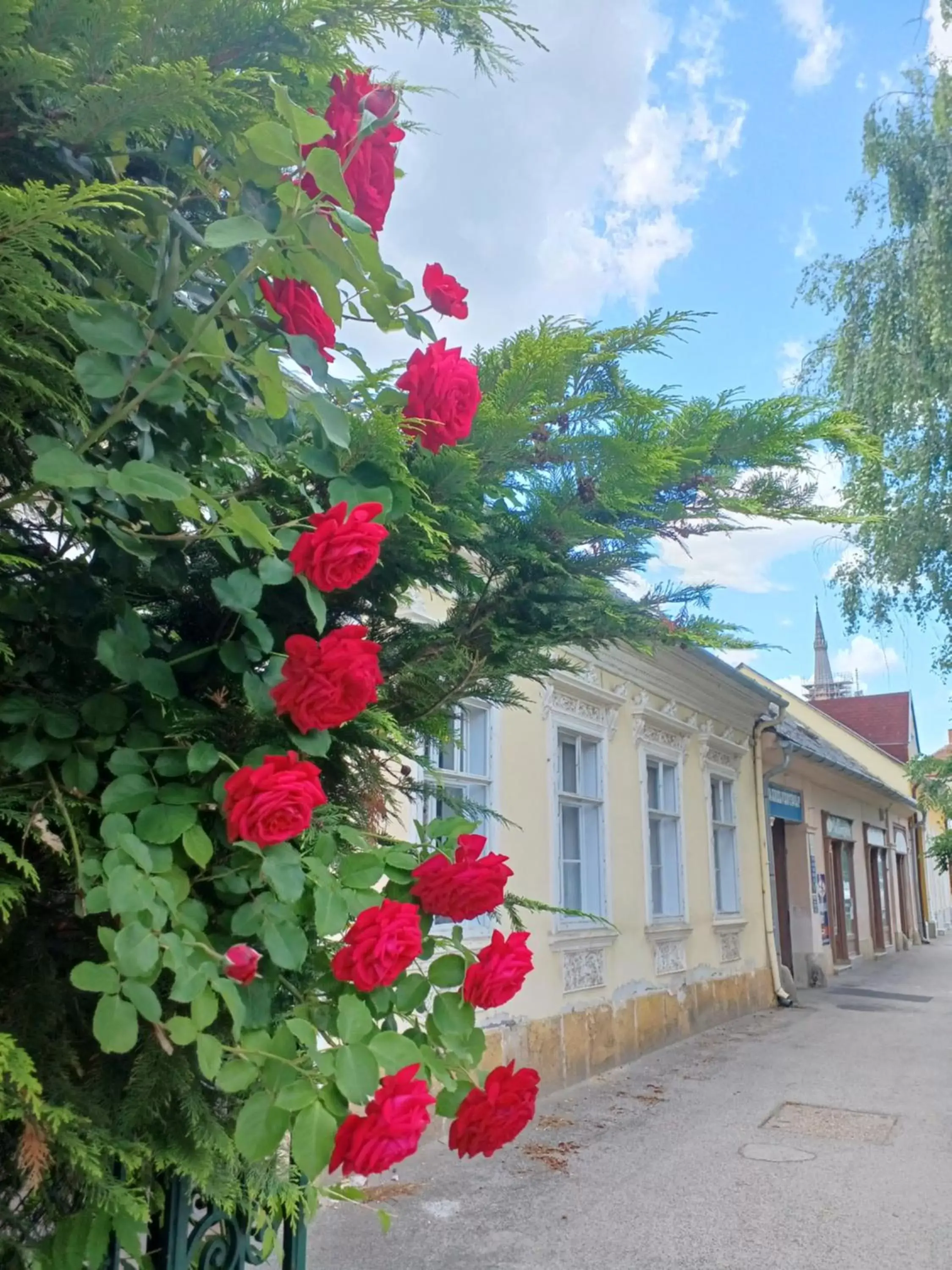 Blues Ryokan Blues Ryokan