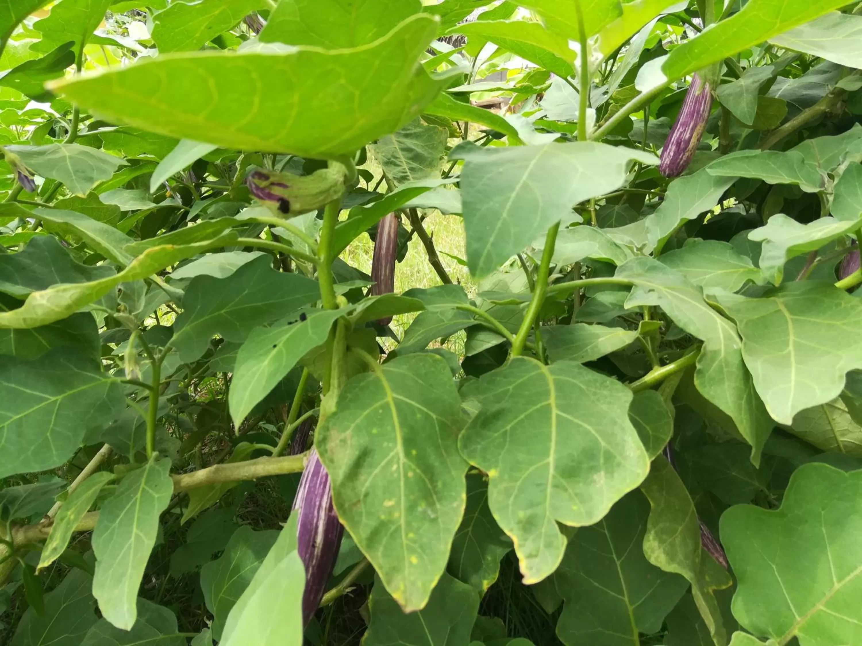 Activities in Lake Bliss