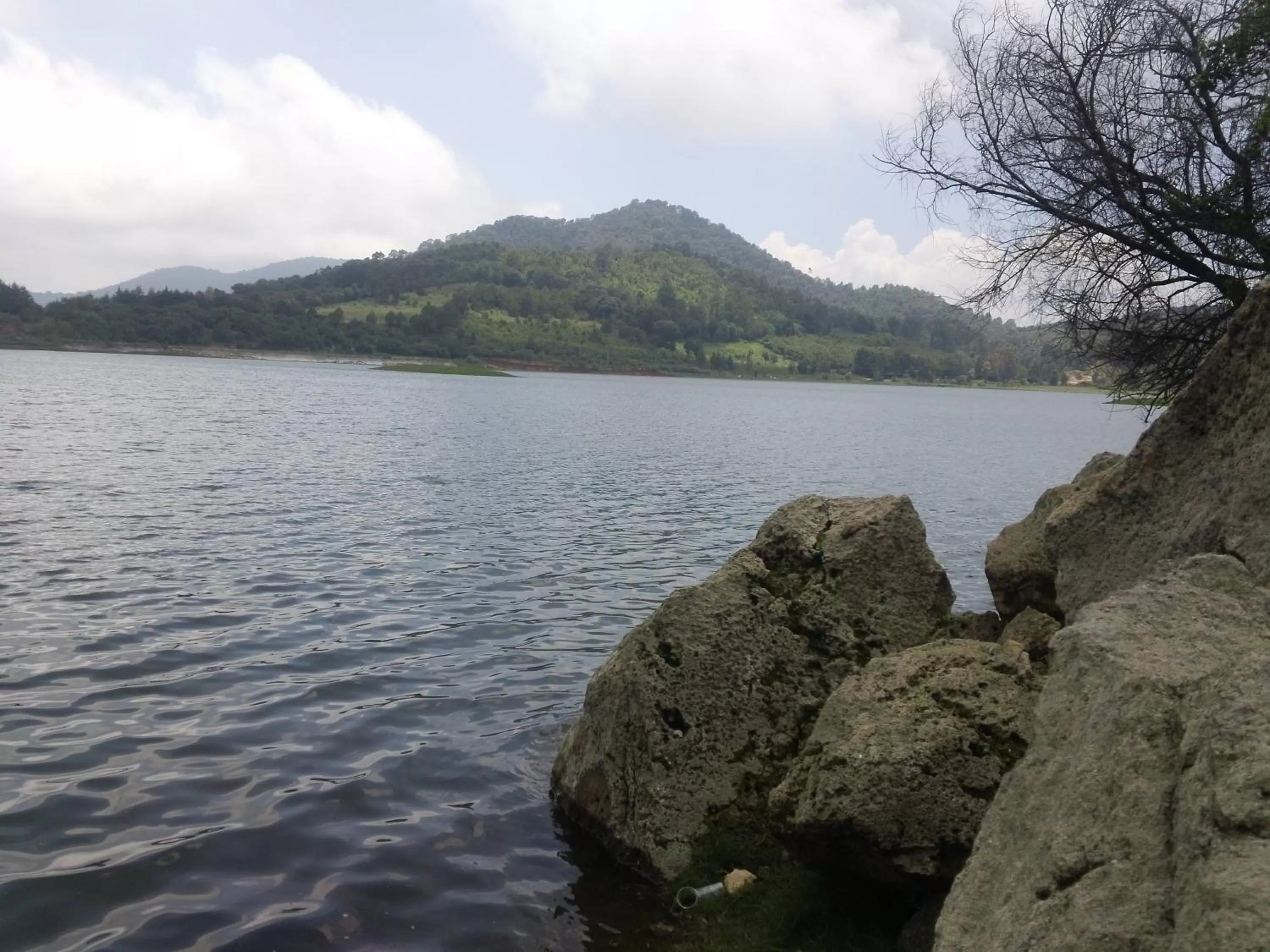 Other in Hotel Villa Monarca Inn