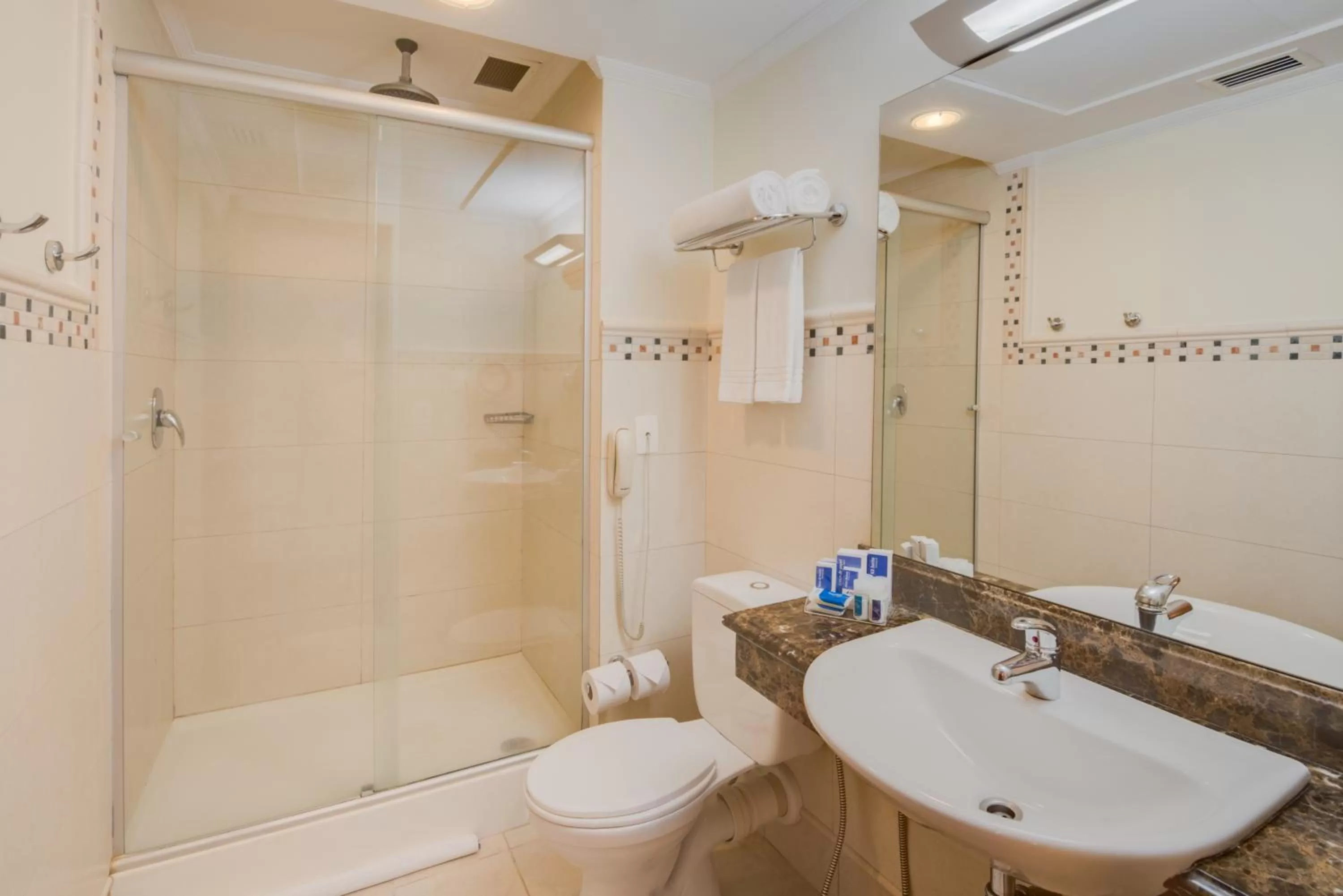 Toilet in Blue Tree Towers Caxias do Sul