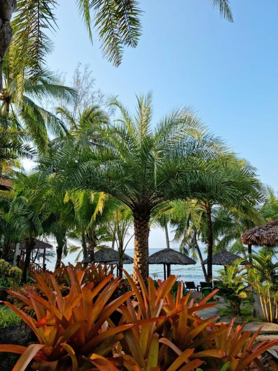 Garden in Coco Palm Beach Resort