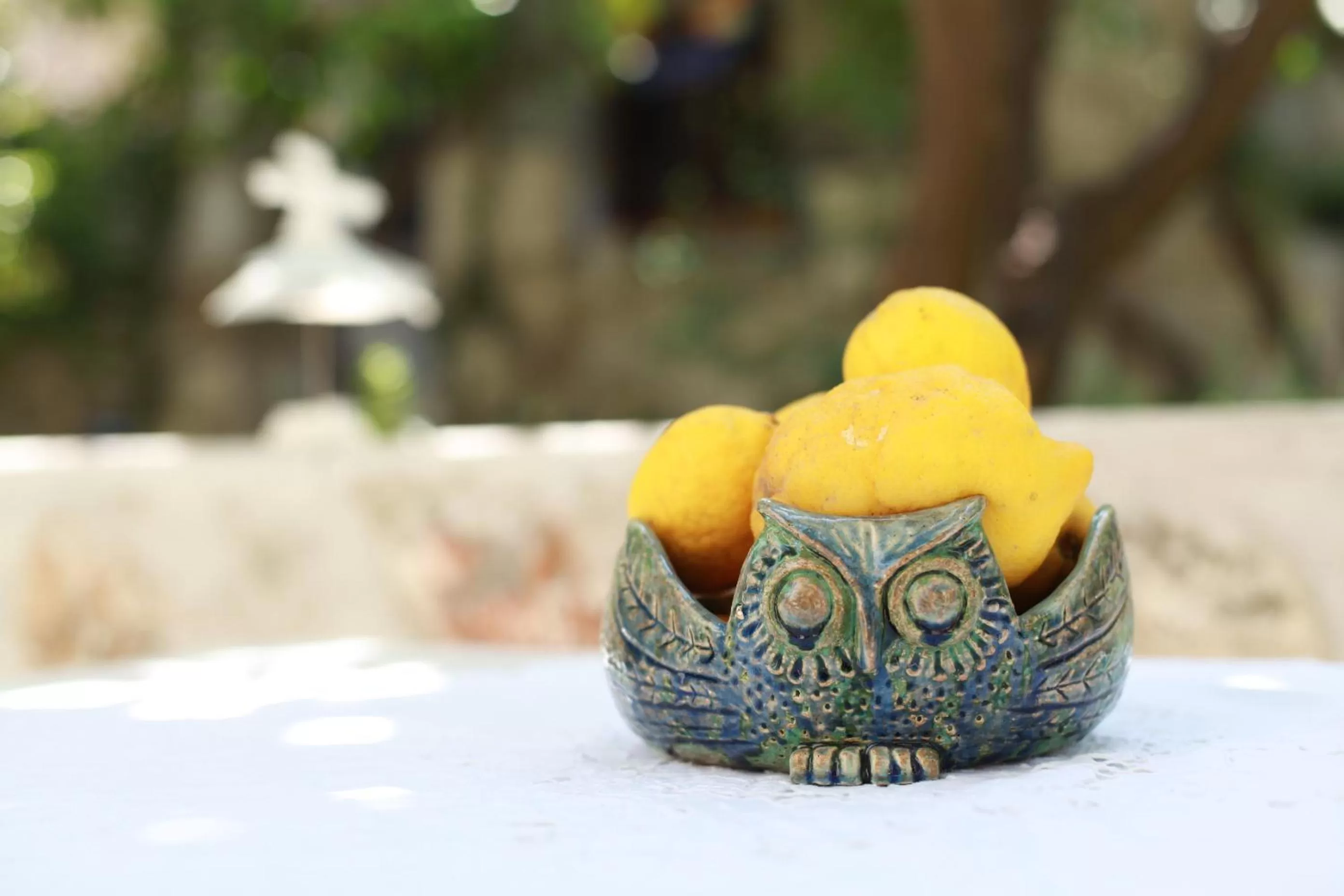 Garden in Ha La Bodrum