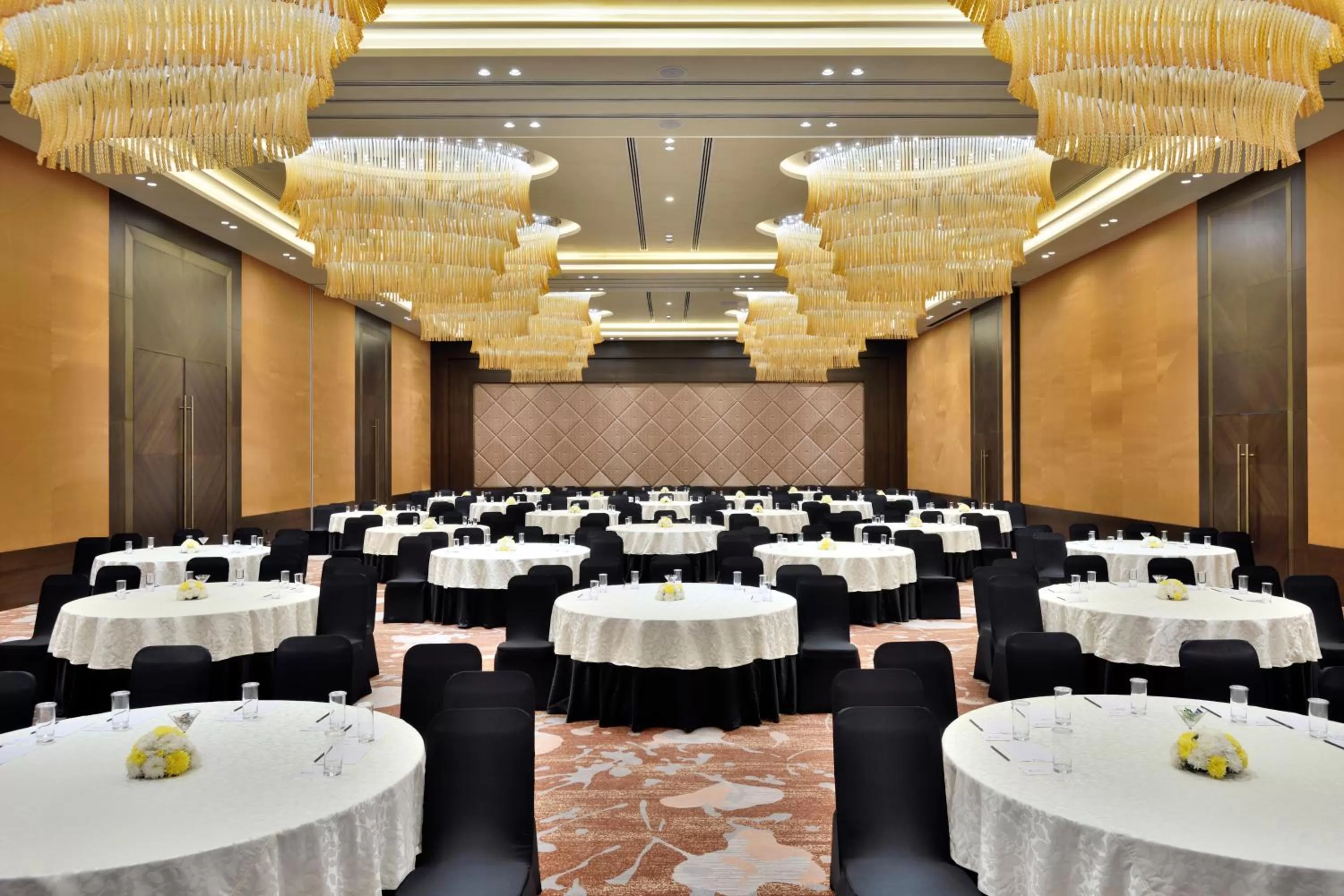 Banquet/Function facilities in Radisson Blu Faridabad