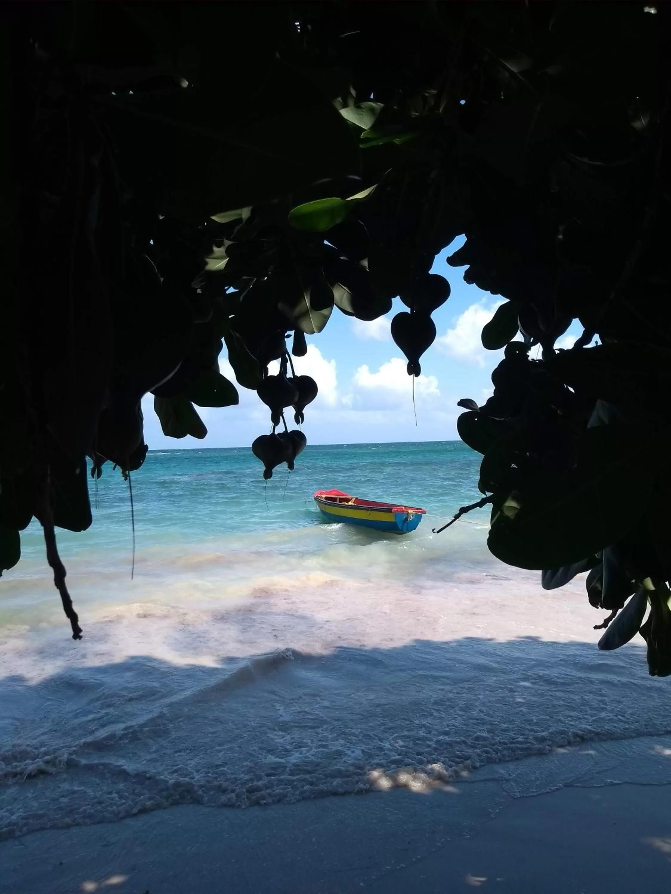 Beach in Port Antonio Brian's Beach House