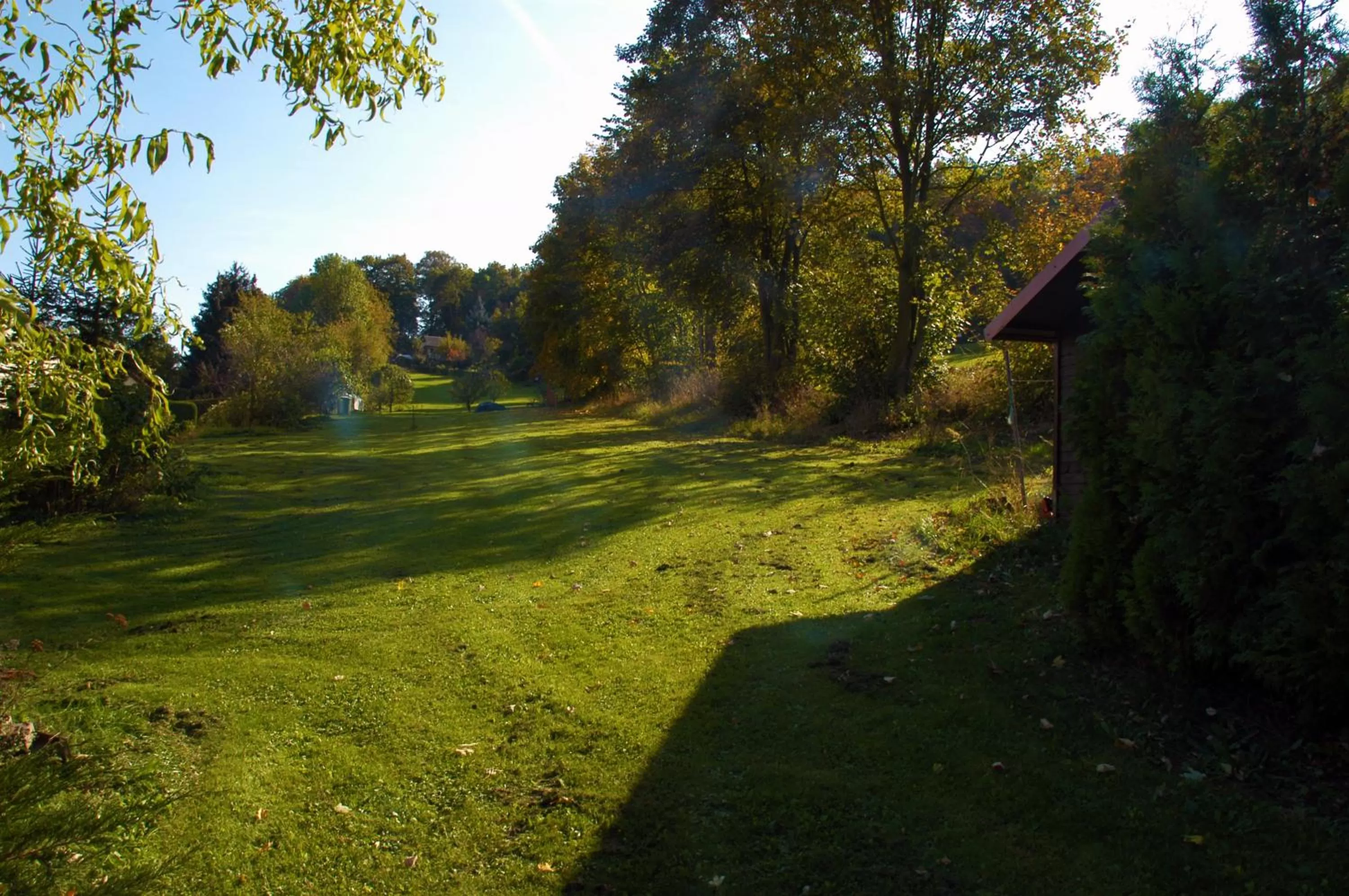Natural landscape, Garden in Hotel Asterra