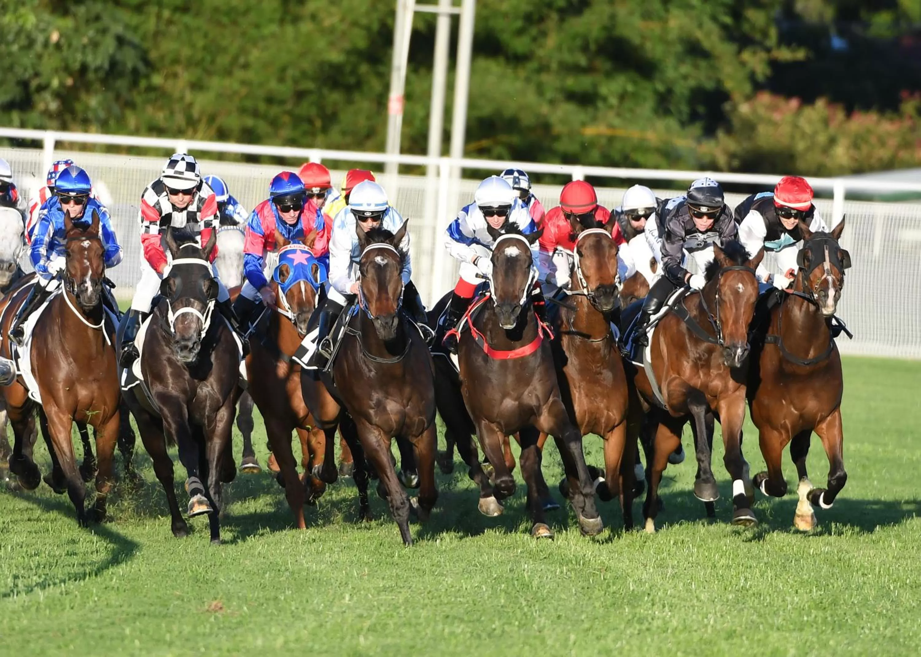 Sports in Best Western Airport 85 Motel