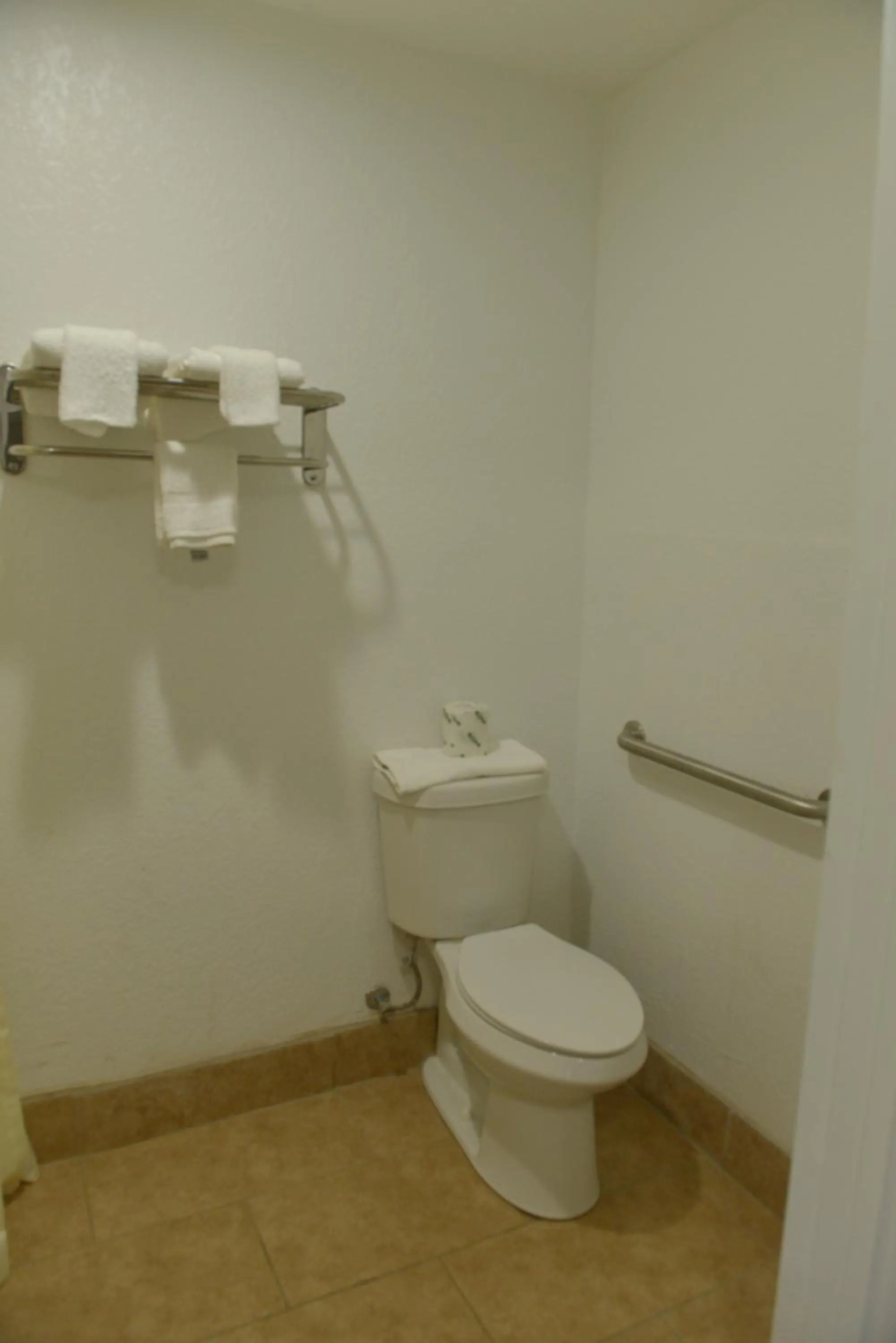 Bathroom in Rodeway Inn & Suites Winter Haven Chain of Lakes