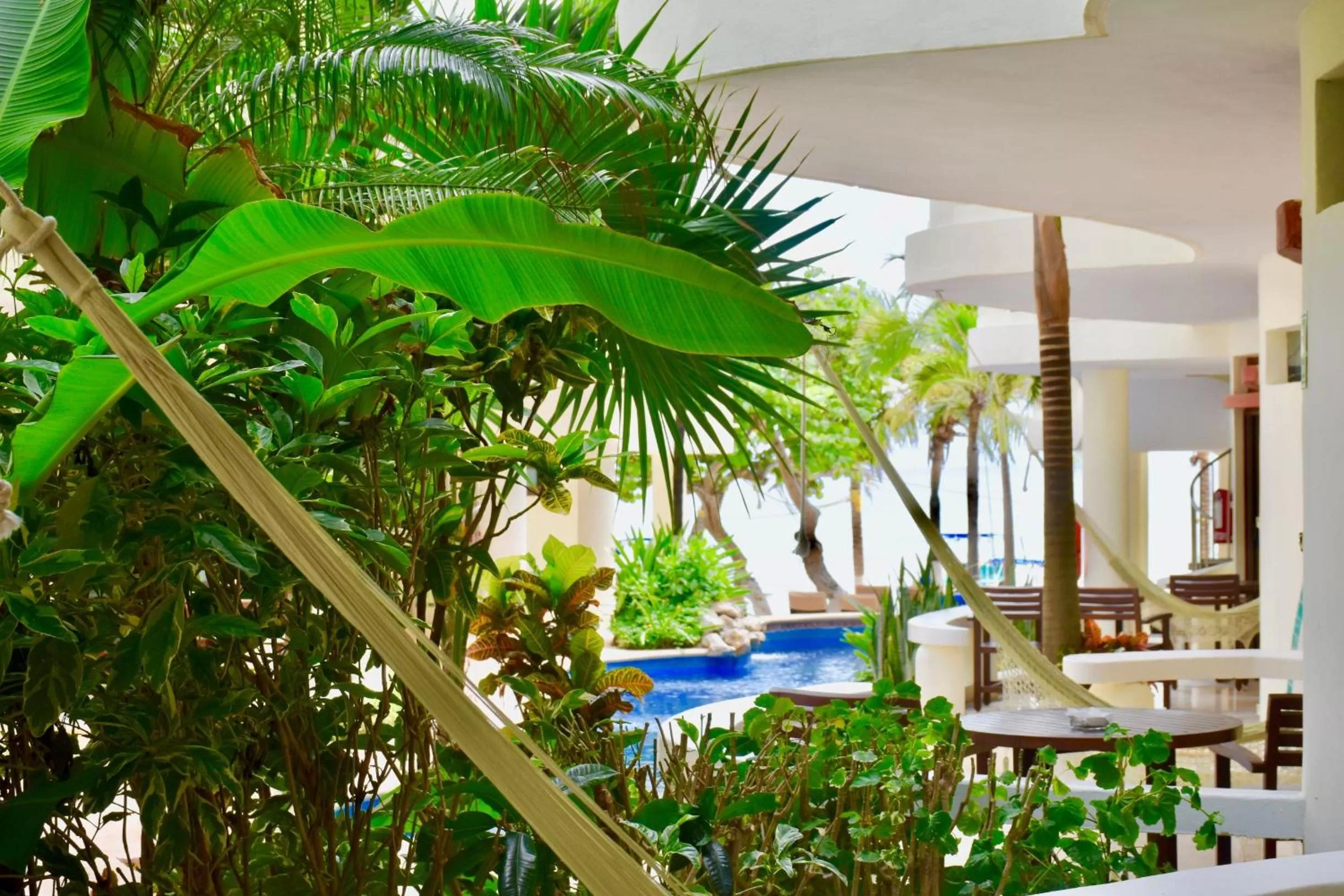 Balcony/Terrace in Playa Palms Beach Hotel