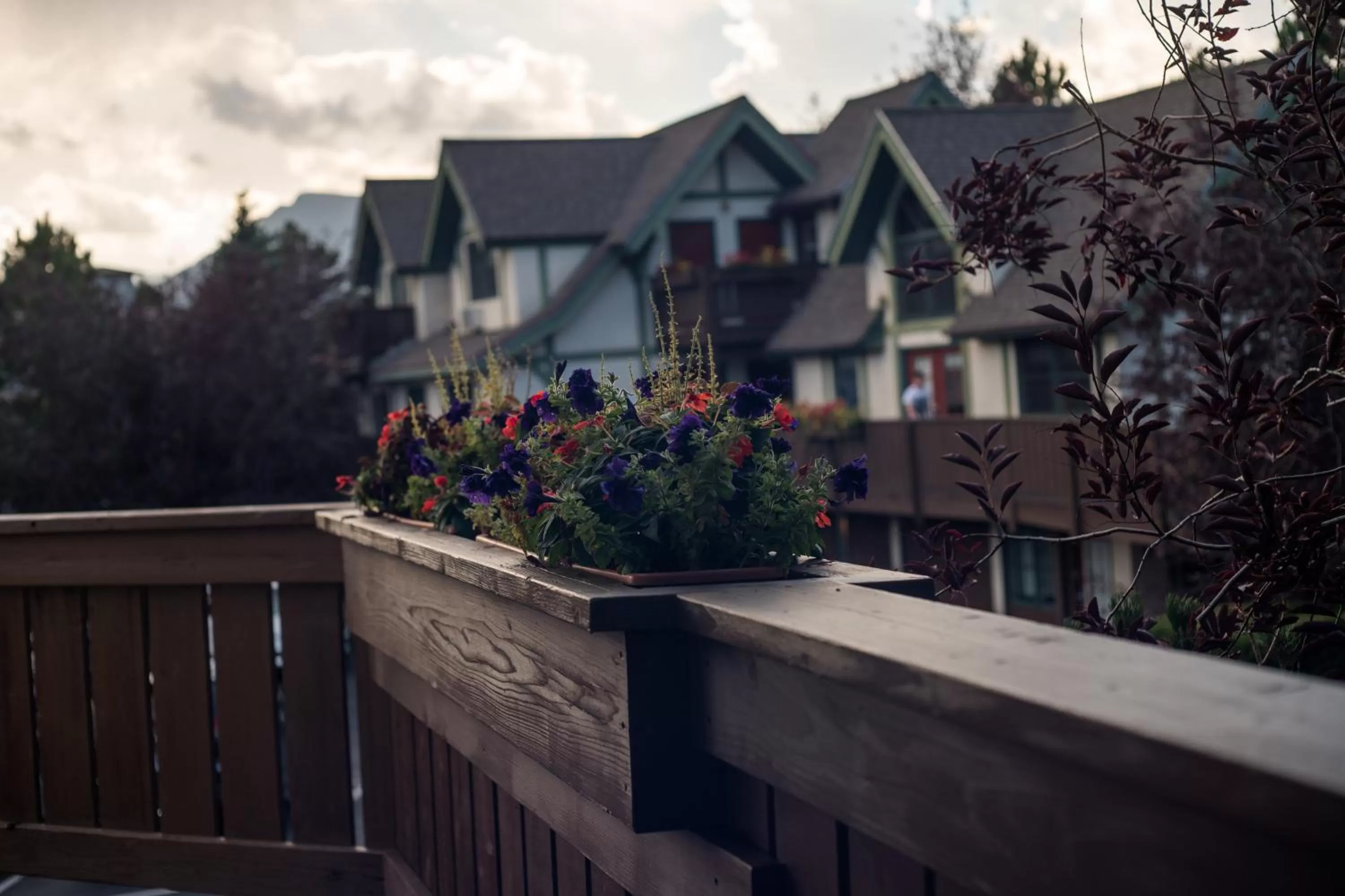 Property building in Appenzell Inn