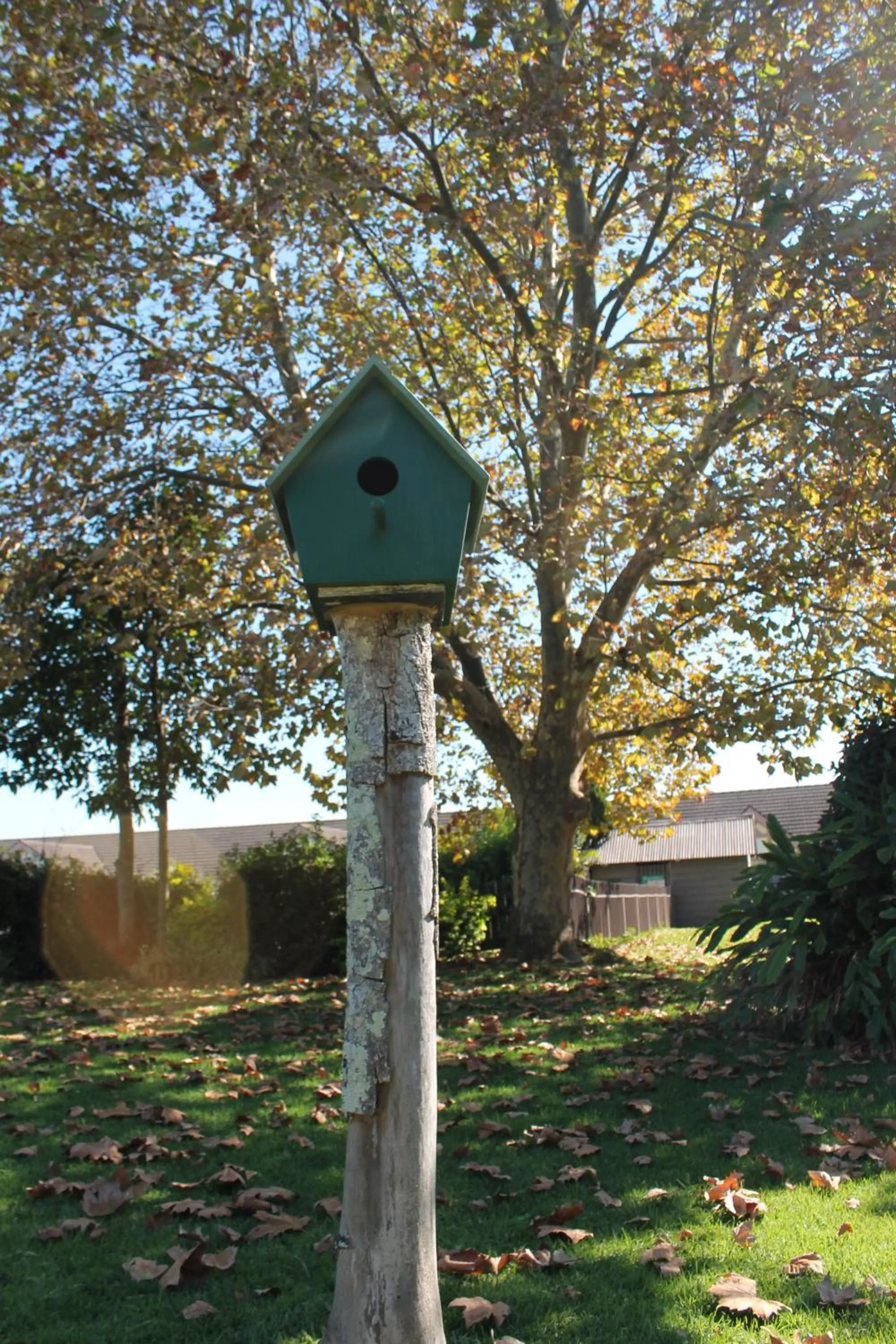Garden in Sir Francis Drake