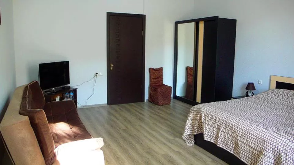 TV/Entertainment Center in Hotel Newland