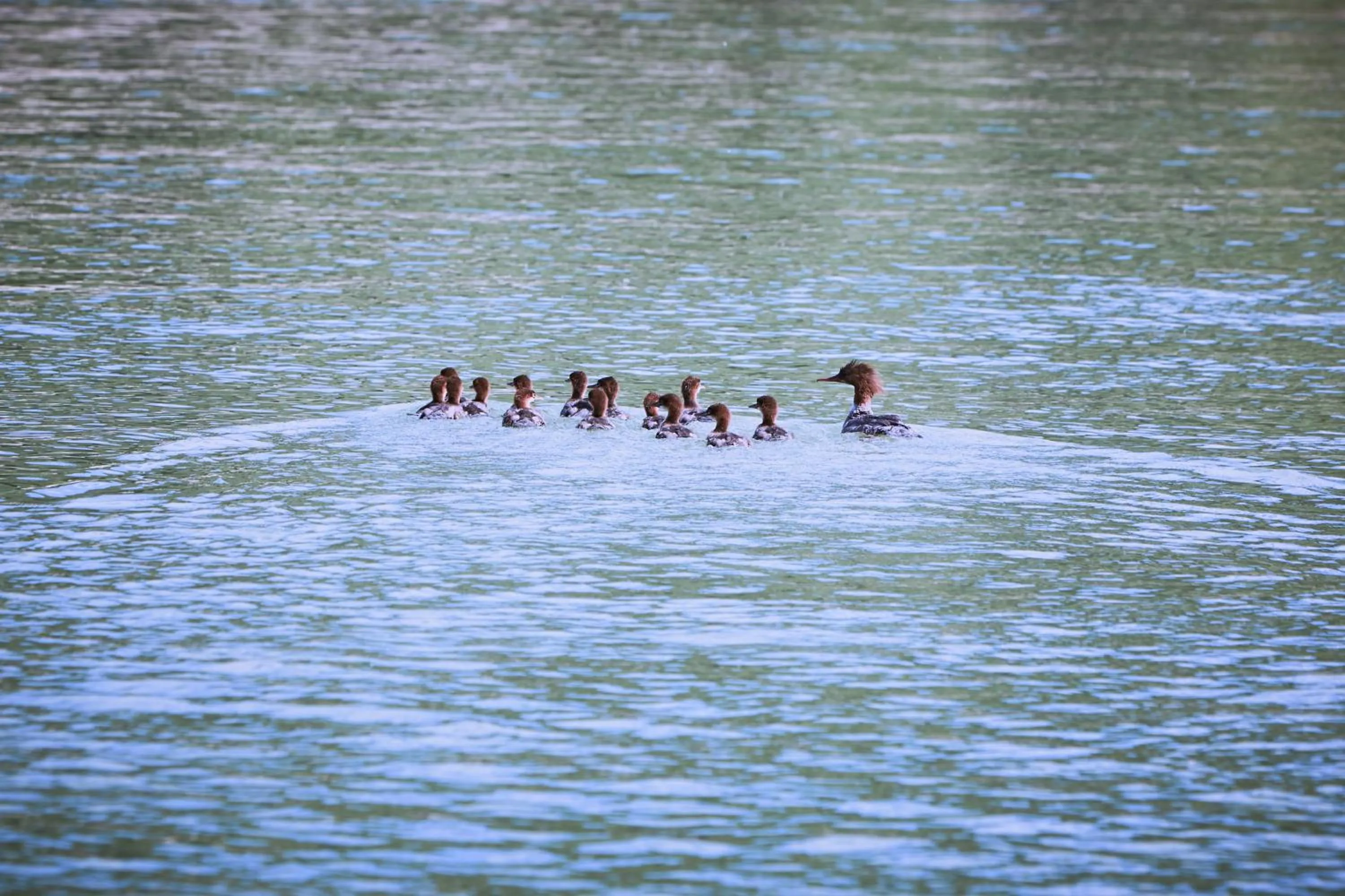 Beach in Hotel Donauhof
