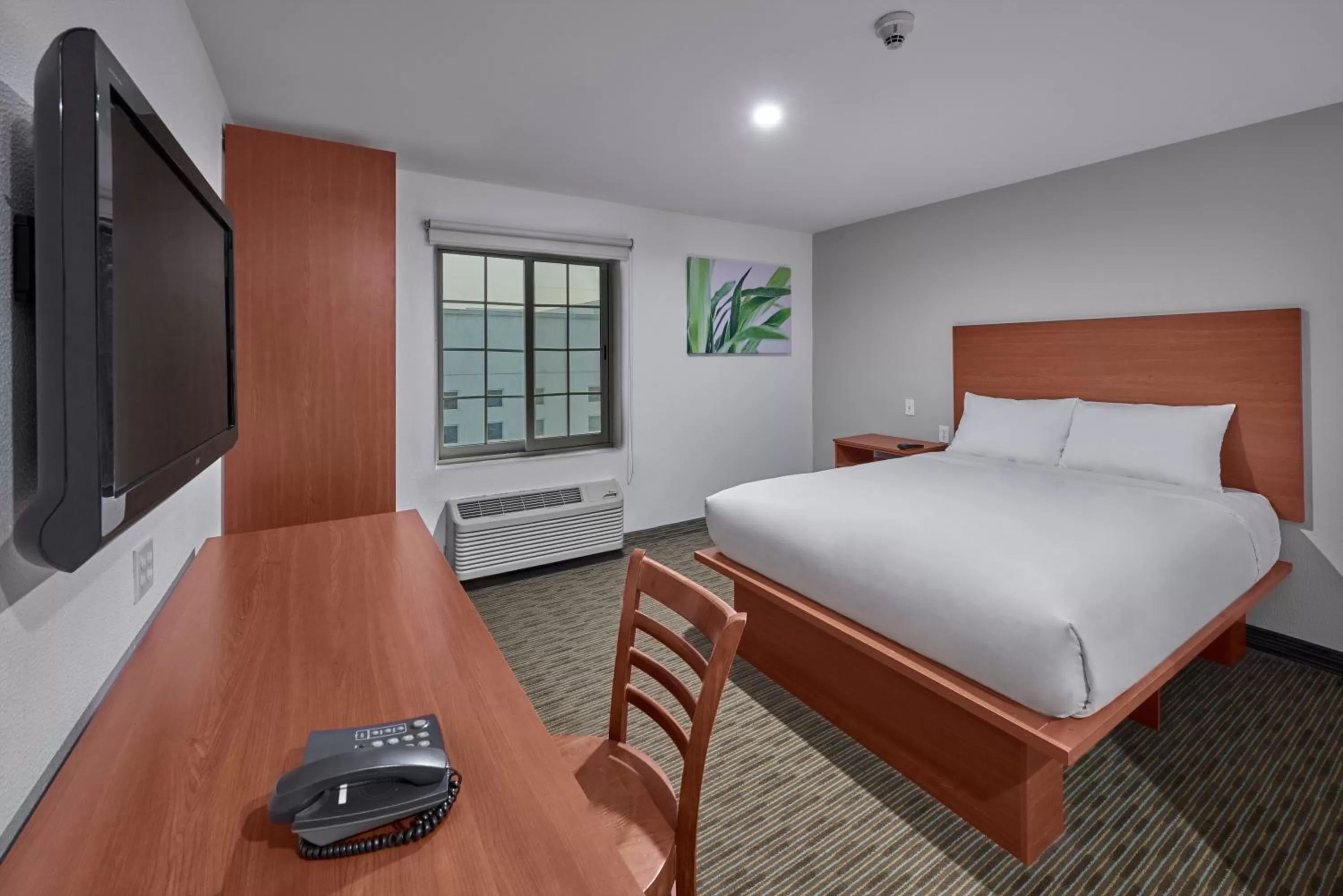 Photo of the whole room, Bed in Extended Suites Monterrey Aeropuerto