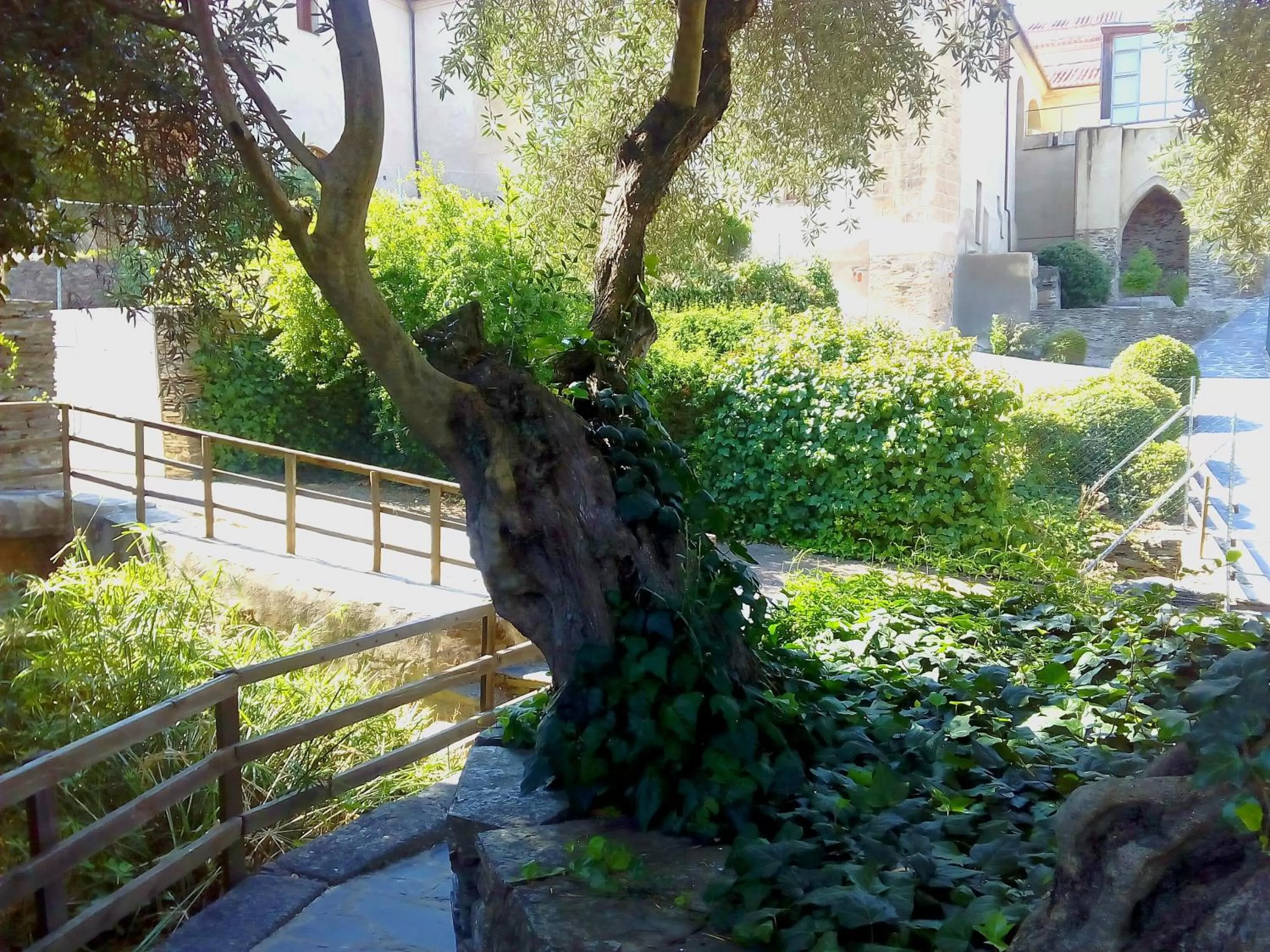 Garden in Hotel Conventual de Alcántara