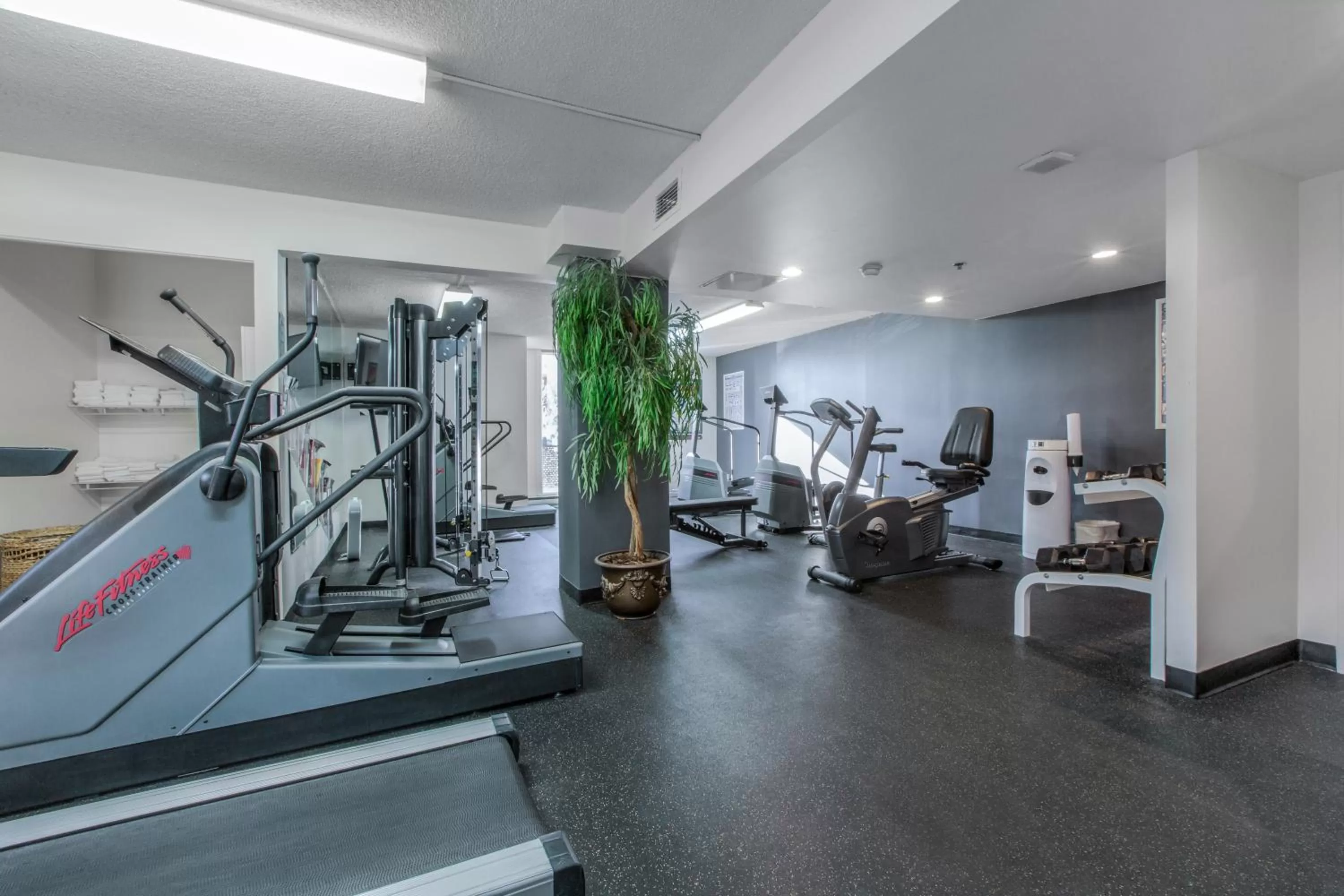 Fitness centre/facilities in Hotel Faubourg Montreal Centre-Ville Downtown