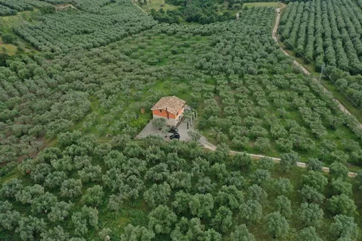 Bird's-eye View in B&B Rifugio tra gli Ulivi