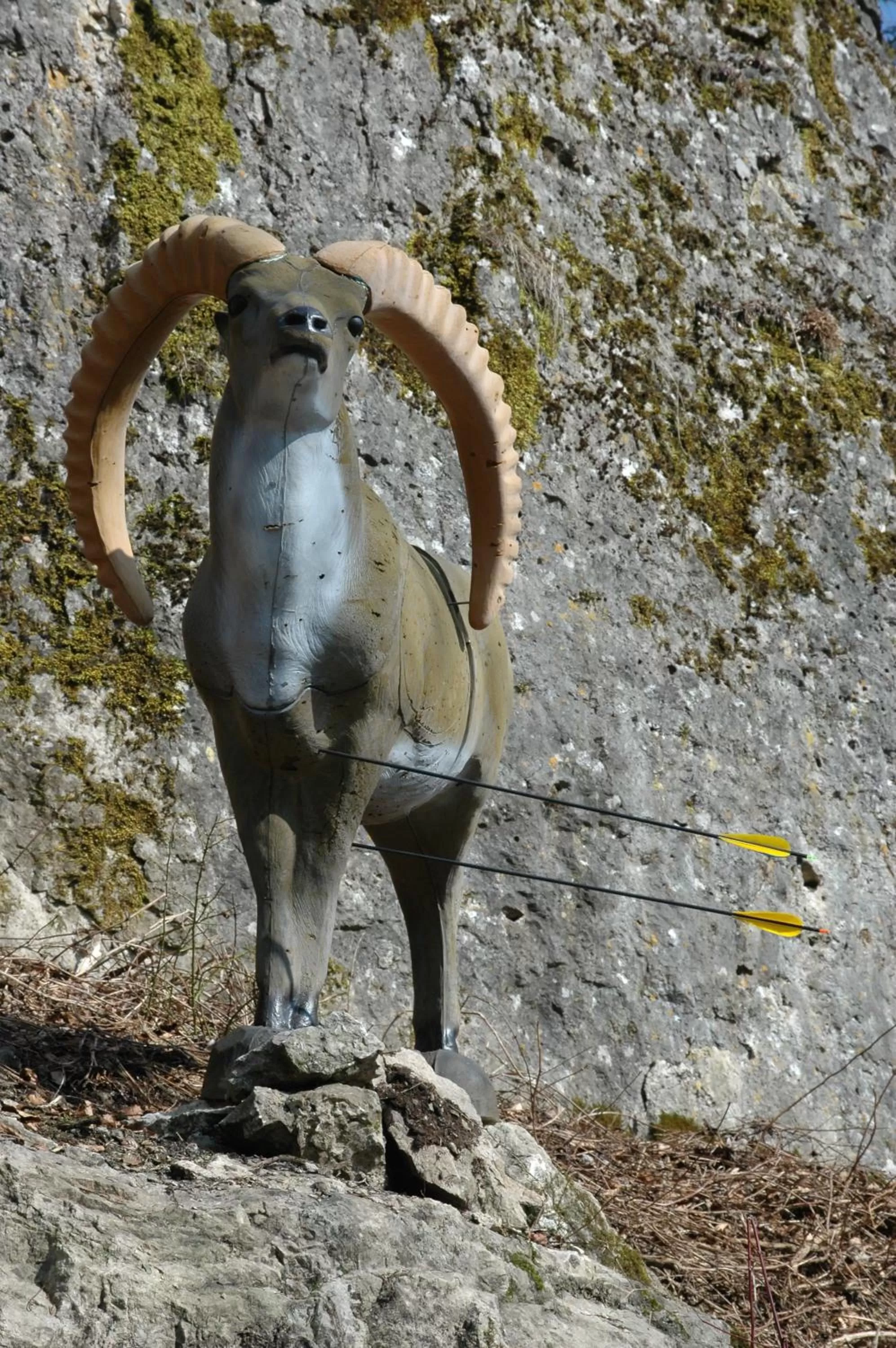 Sports, Other Animals in Gasthof Hotel Reif