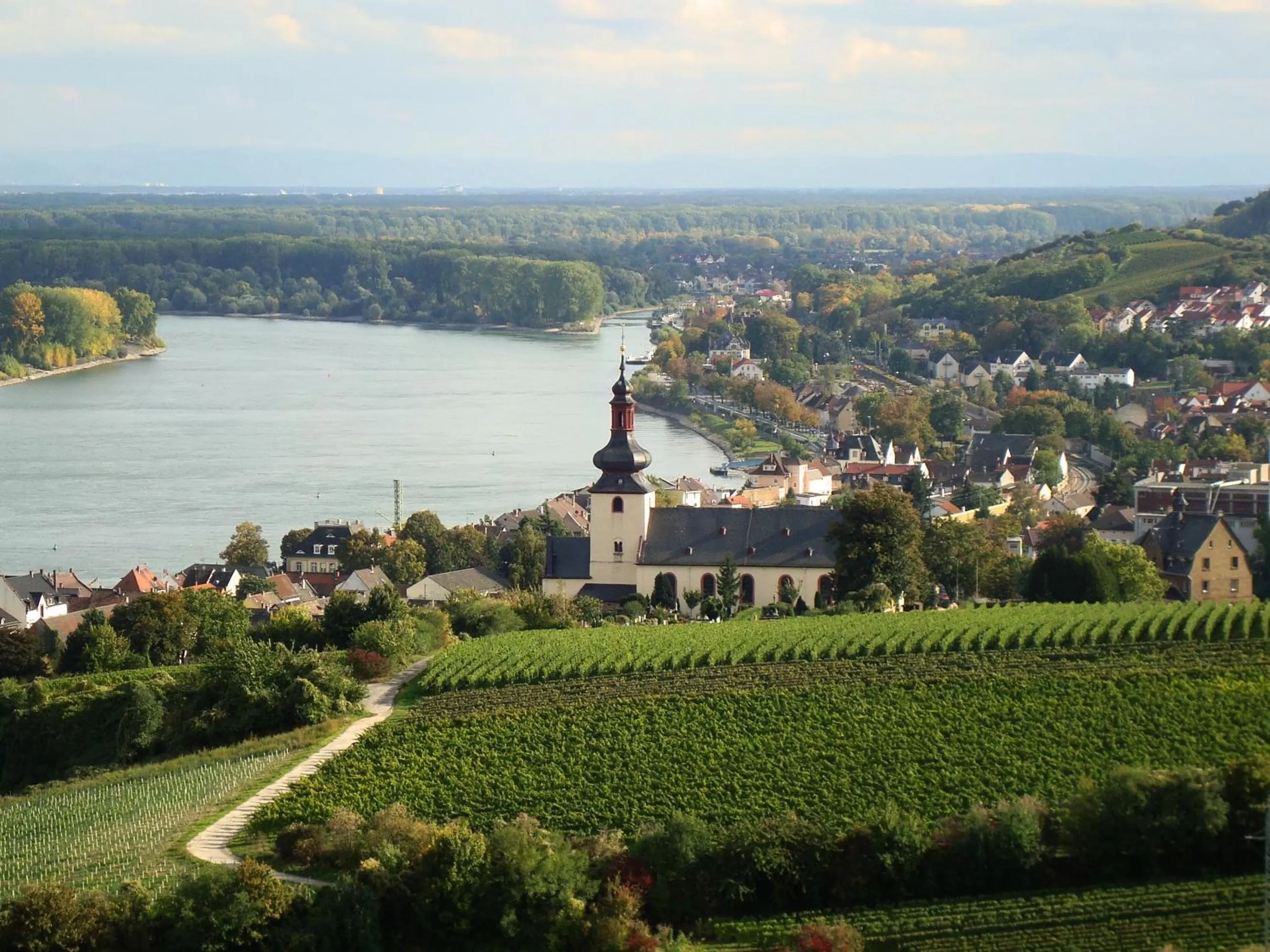Natural landscape in Best Western Wein- und Parkhotel