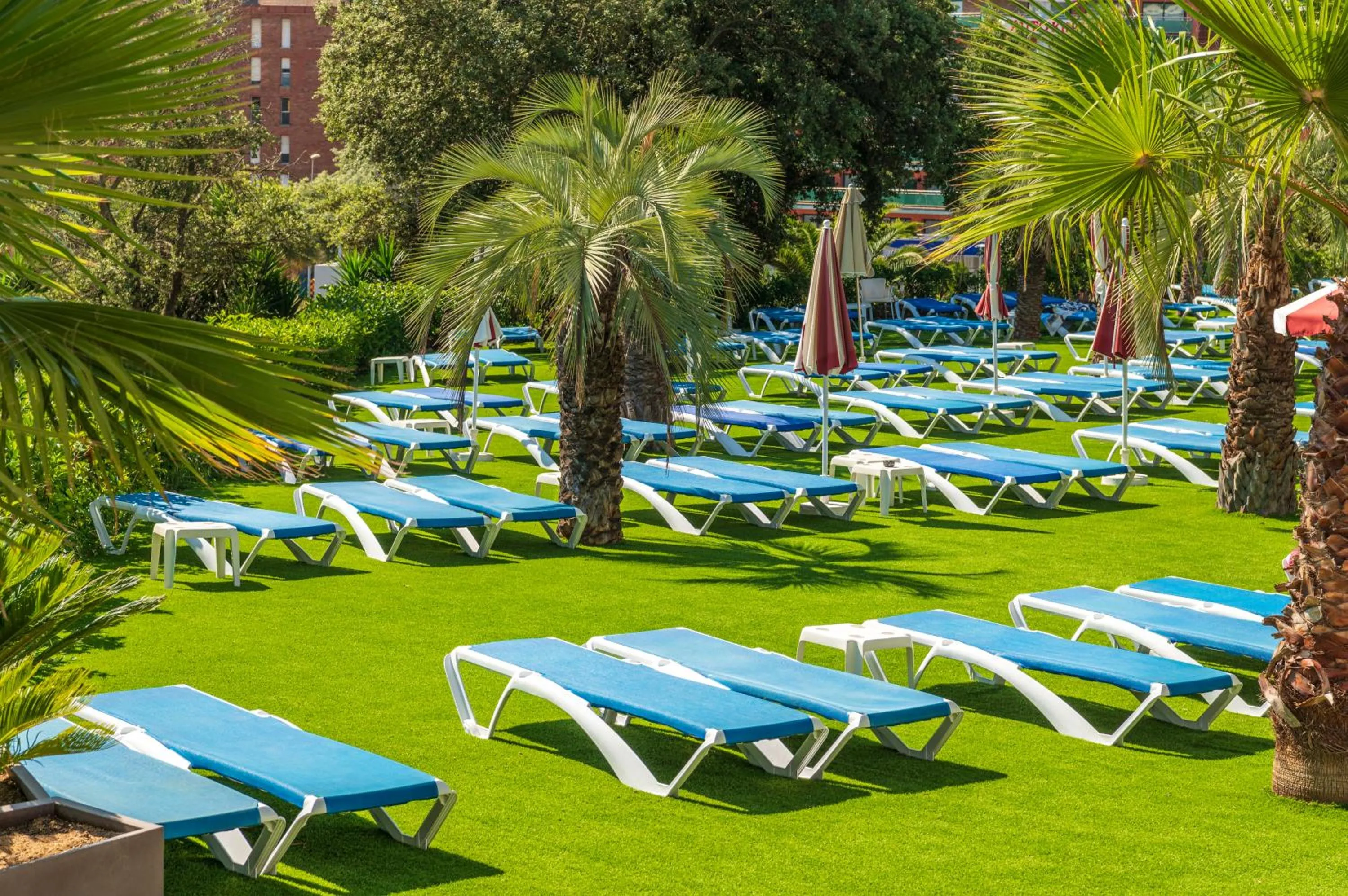 Garden in Costa Encantada Resort & Suites