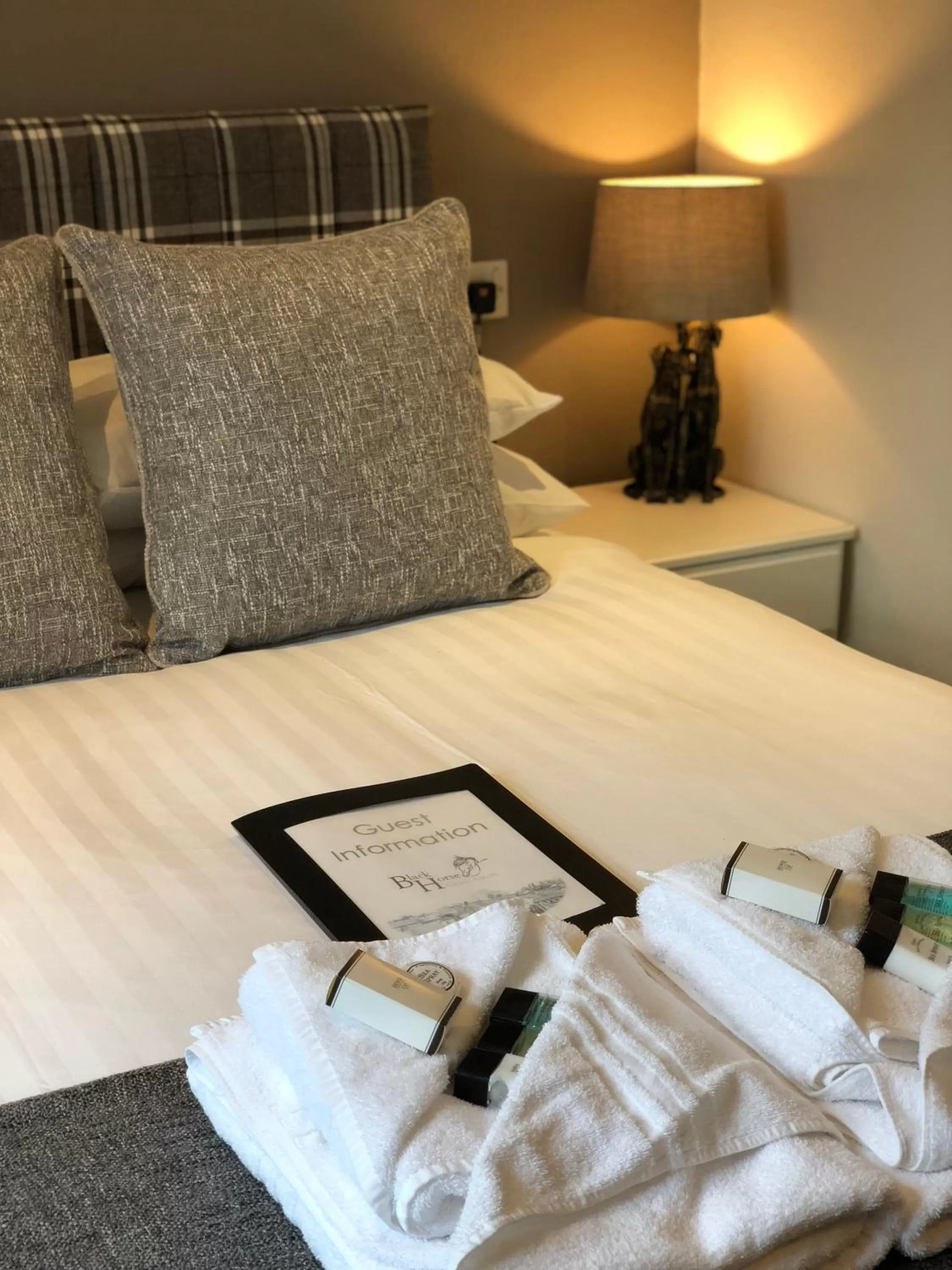 Decorative detail, Bed in Black Horse Hotel