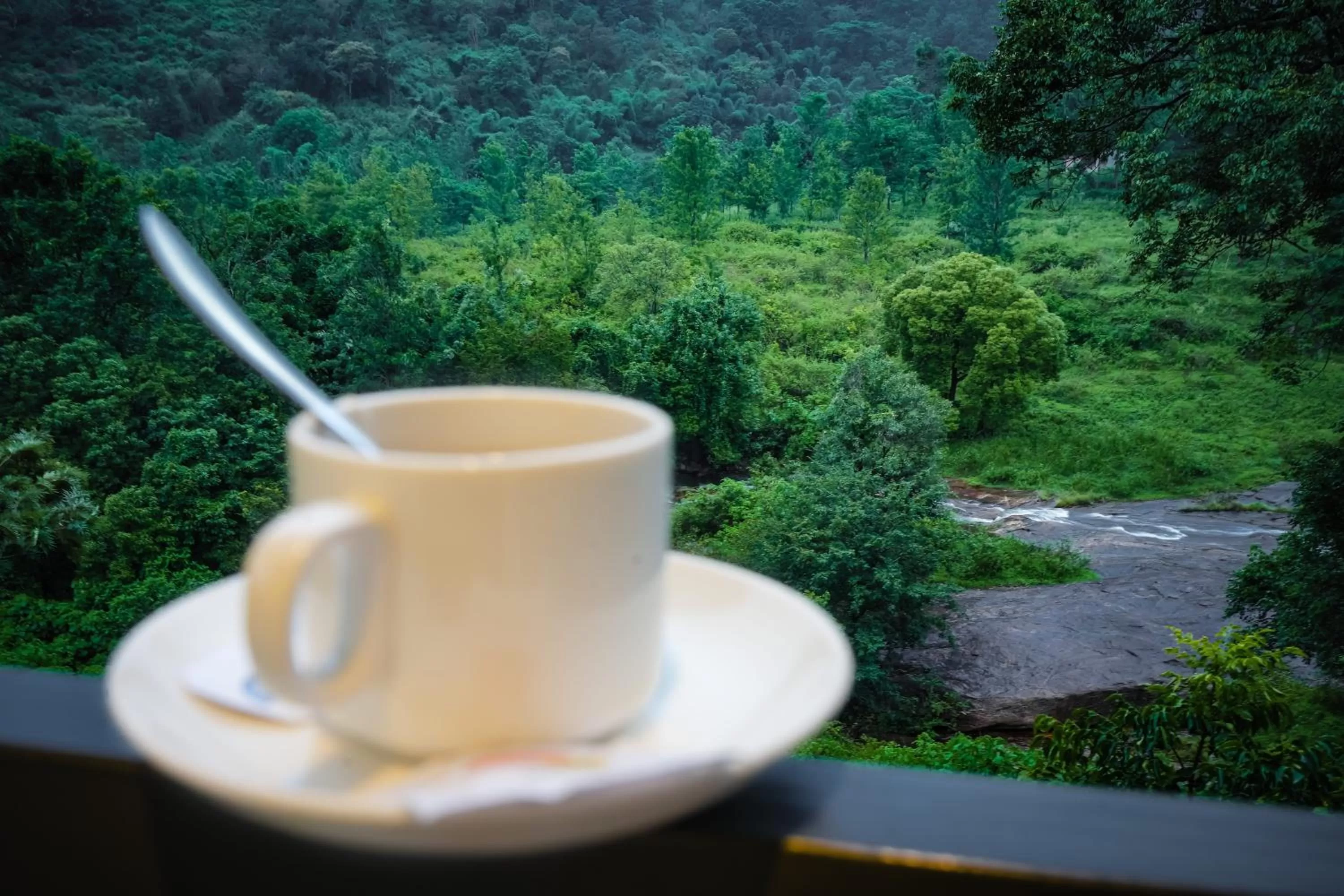 River view in Misty Range Resorts