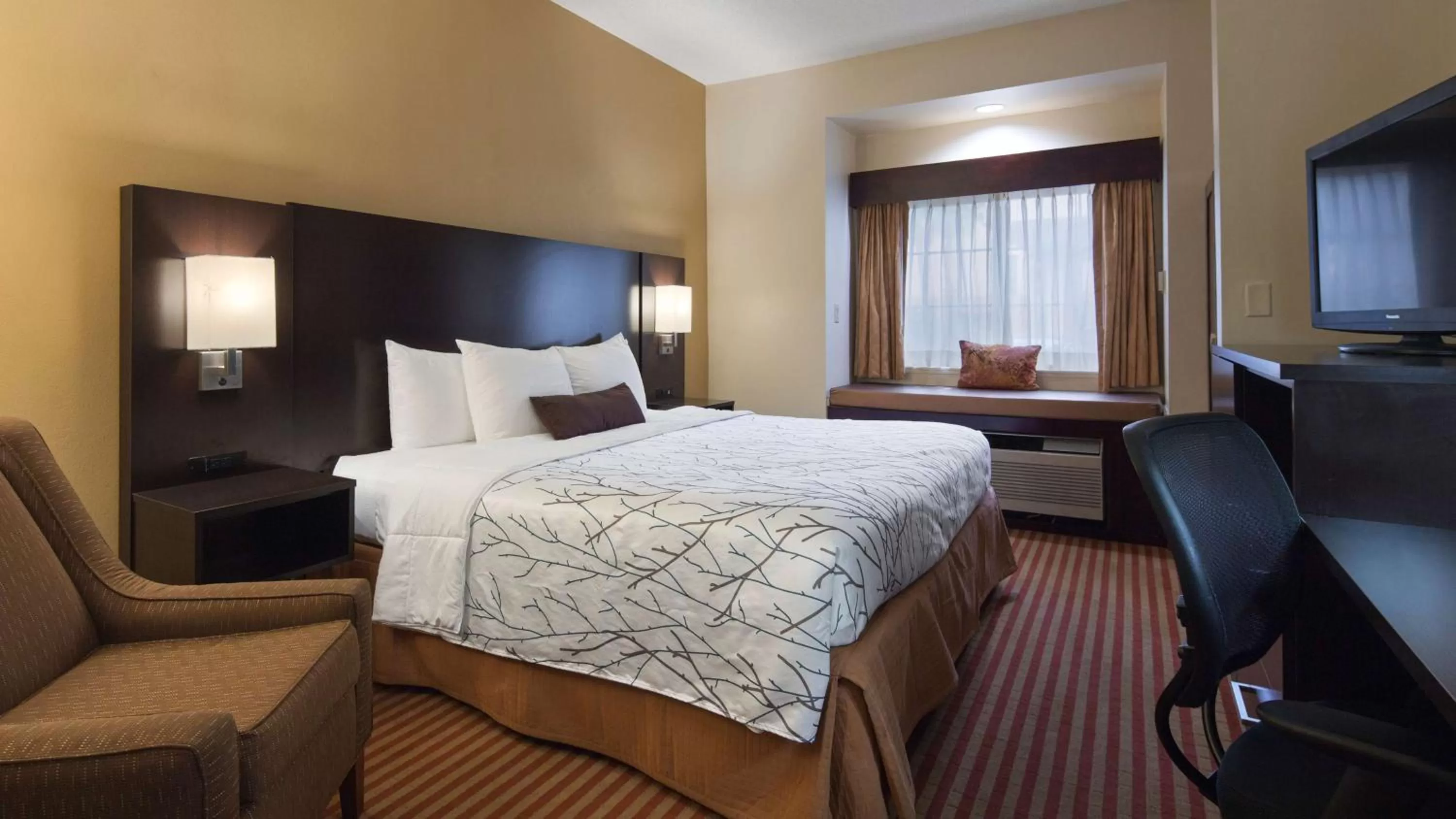 King Room - Hearing Accessible - Non-smoking in Best Western Patriots Point