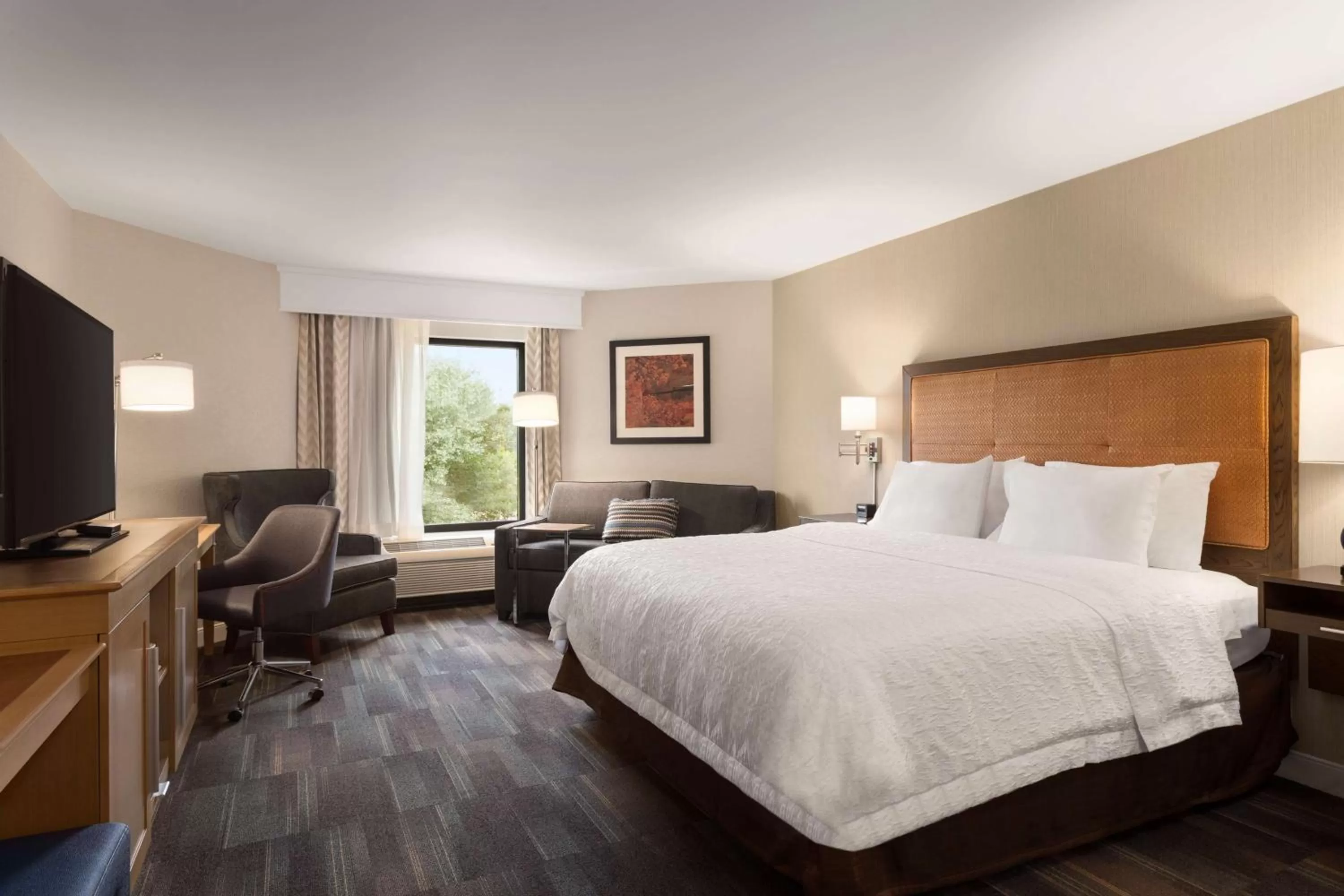 King Suite with Spa Bath - Non-Smoking in Hampton Inn by Hilton Fort Smith