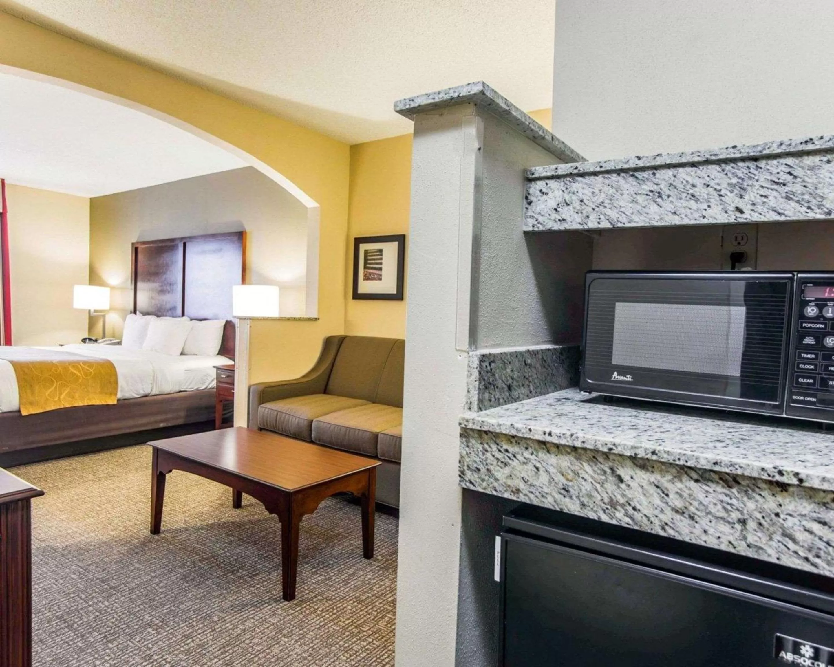 One-Bedroom Suite in Comfort Suites Sumter