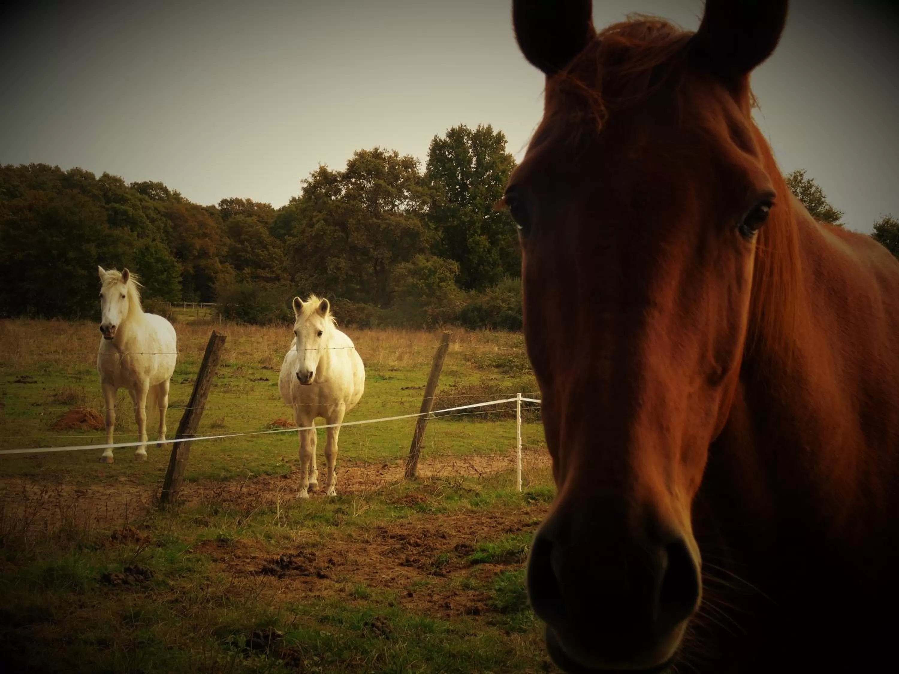 Neighbourhood in Villa La Clef Des Champs