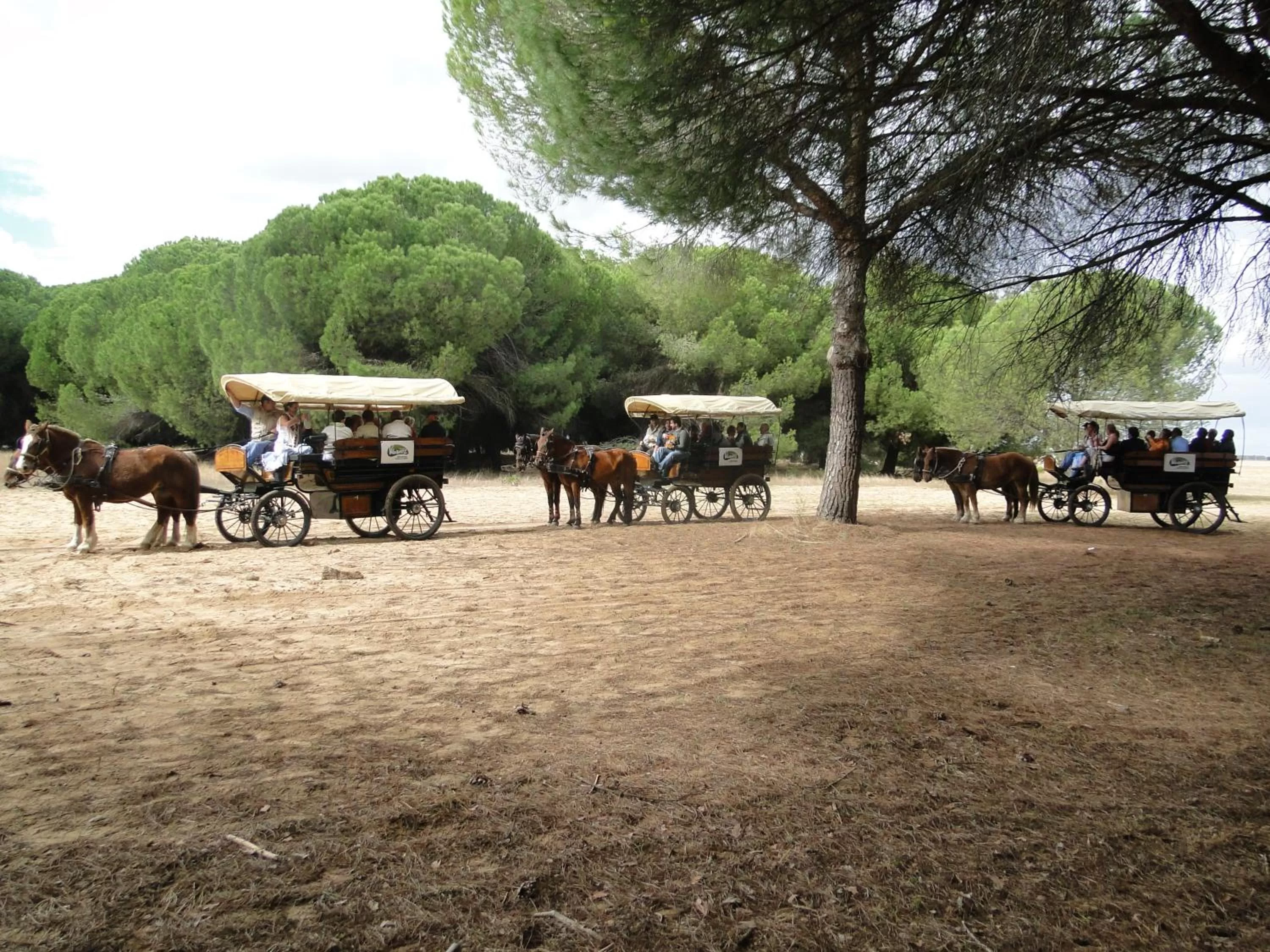 Entertainment in Ardea Purpurea