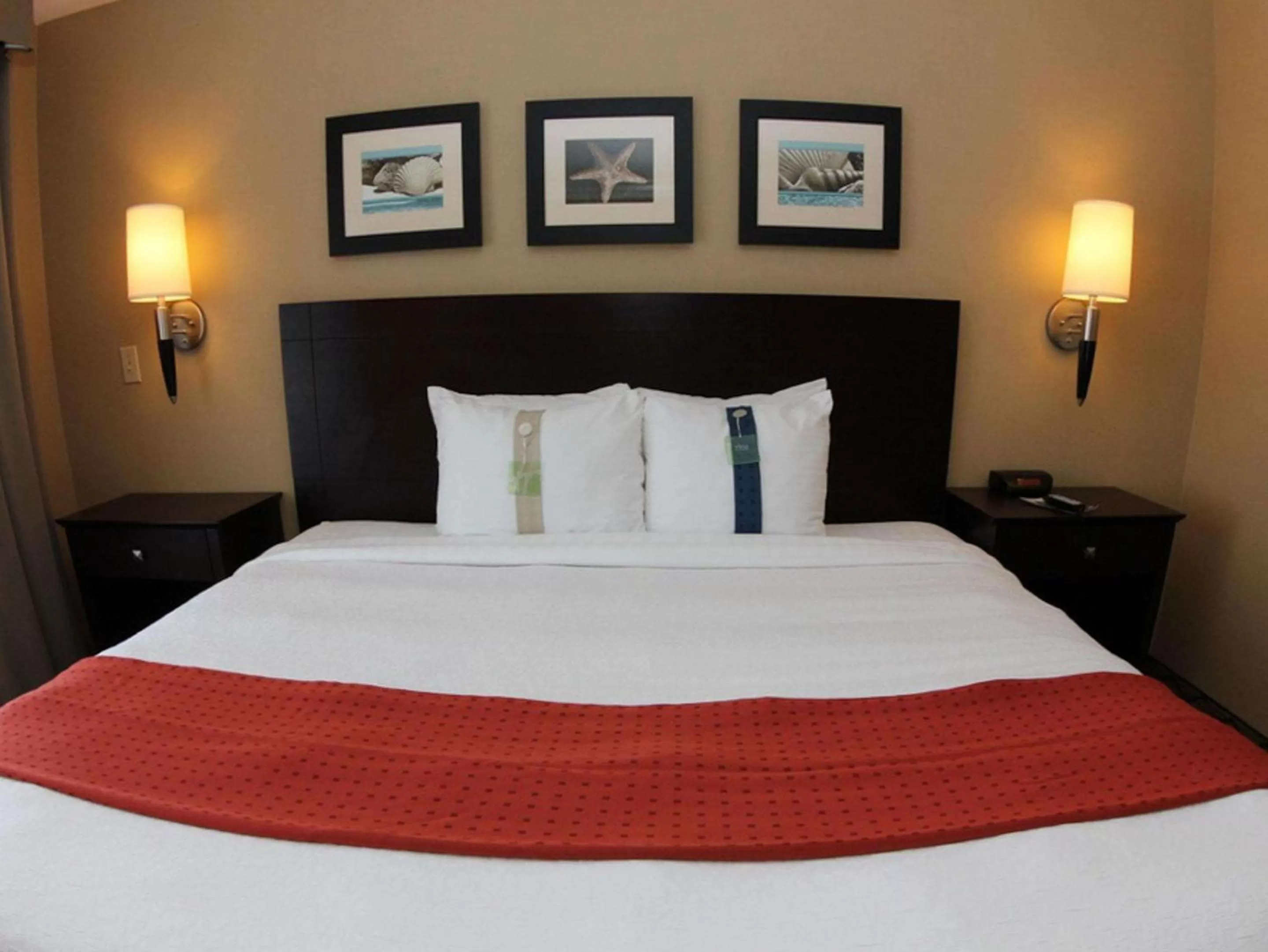 Photo of the whole room, Bed in The Volare, an Ascend Collection Hotel