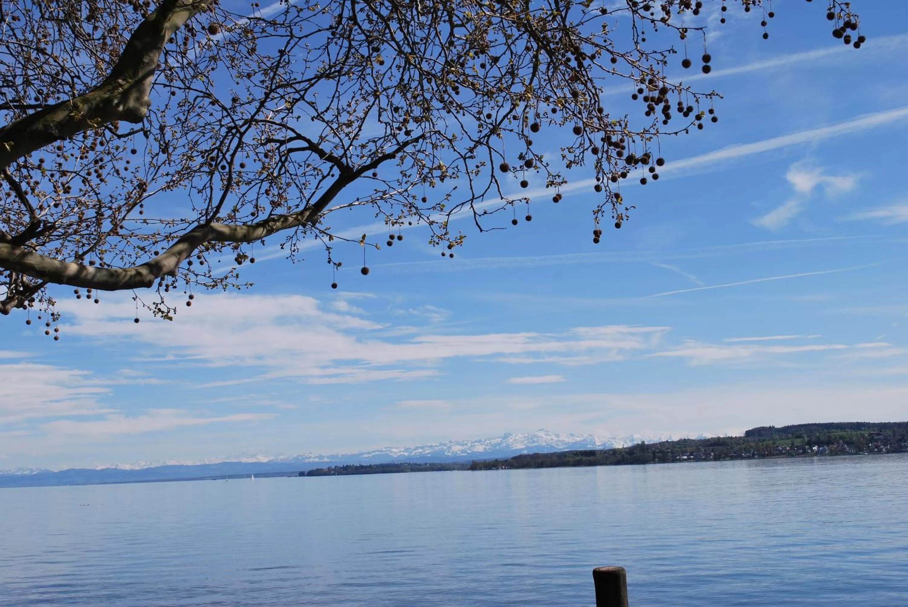 Area and facilities in Bürgerbräu