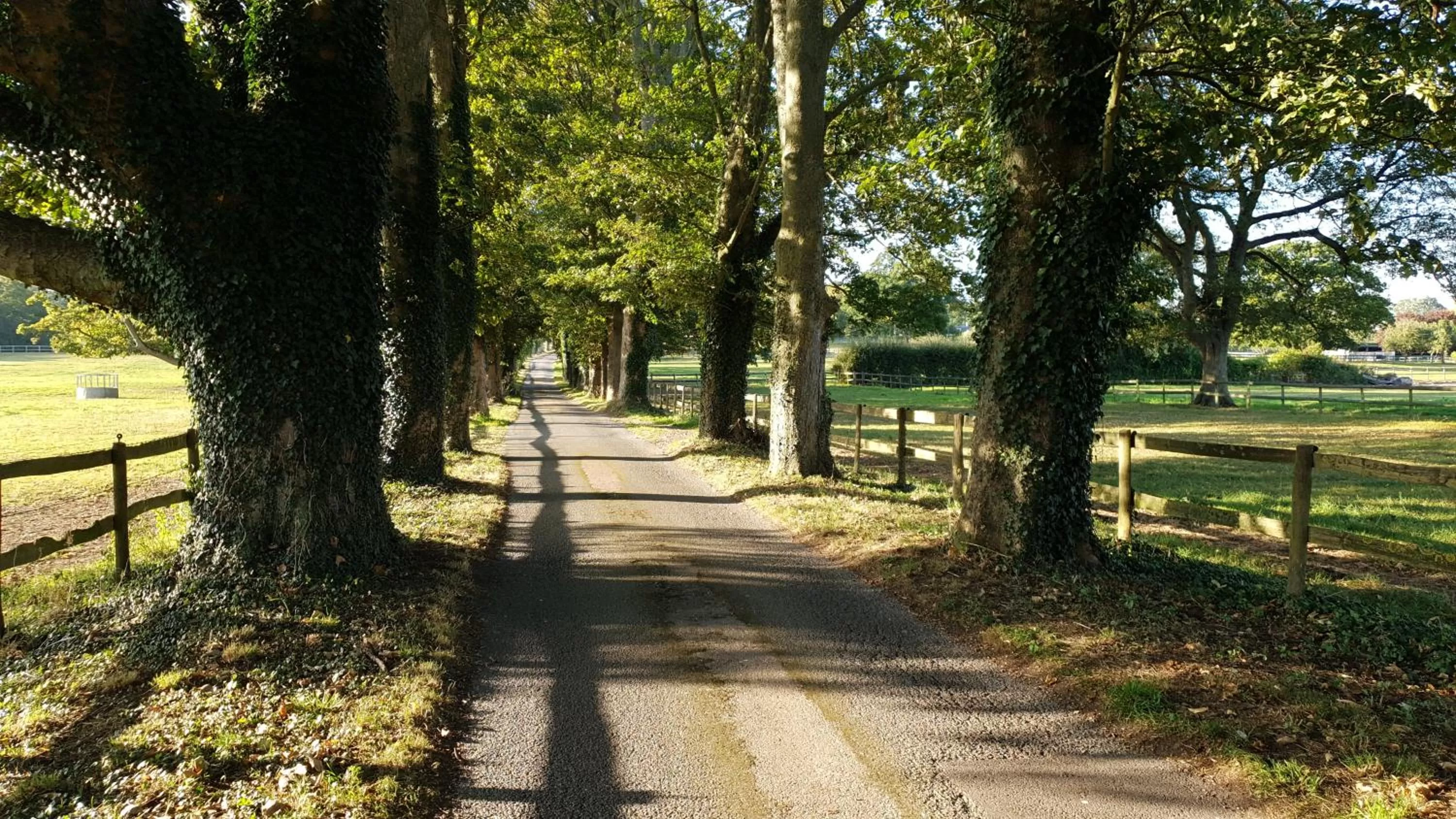 Facade/entrance in Farnham House Hotel