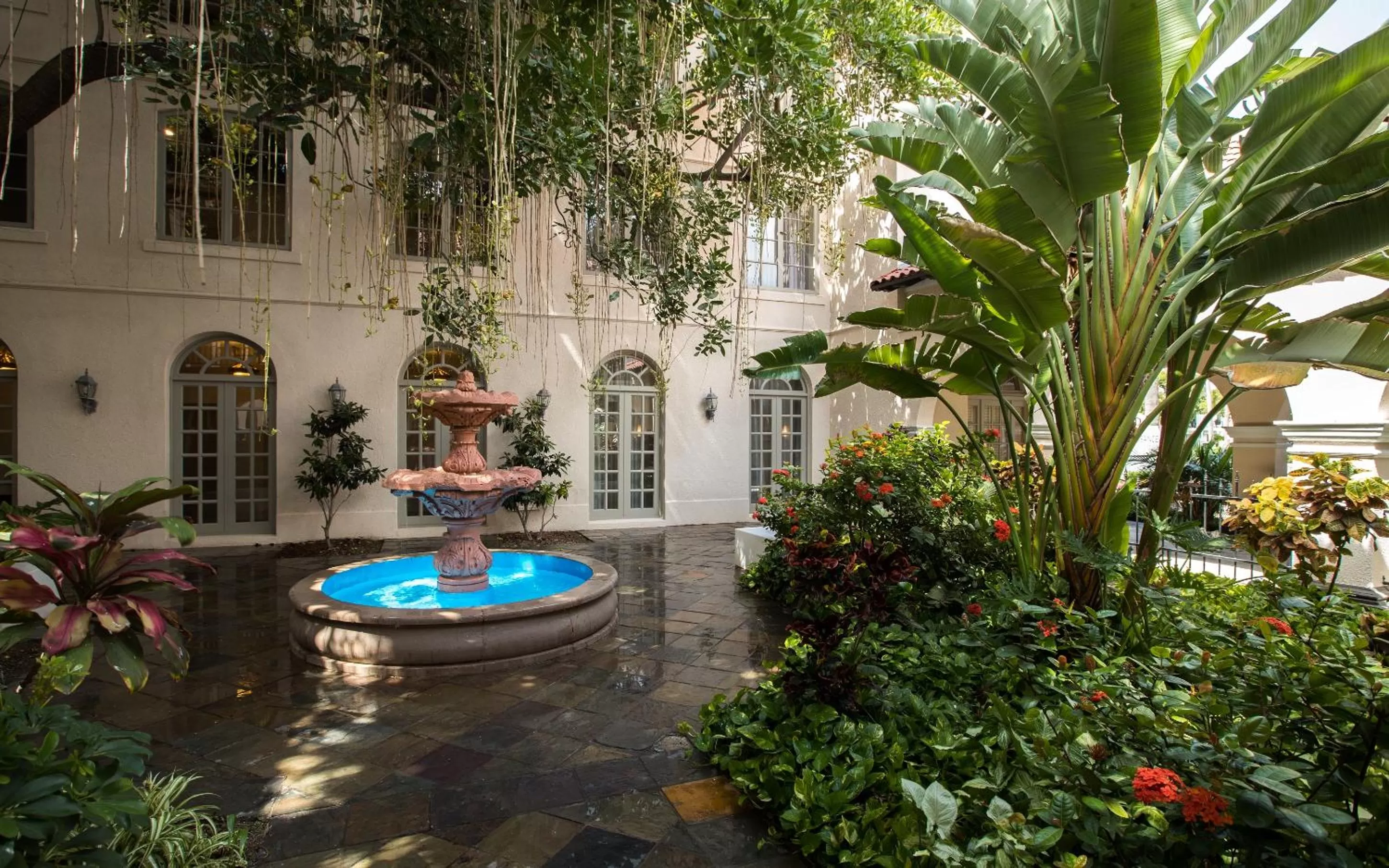 Garden in Casa De Palmas, Trademark Collection by Wyndham