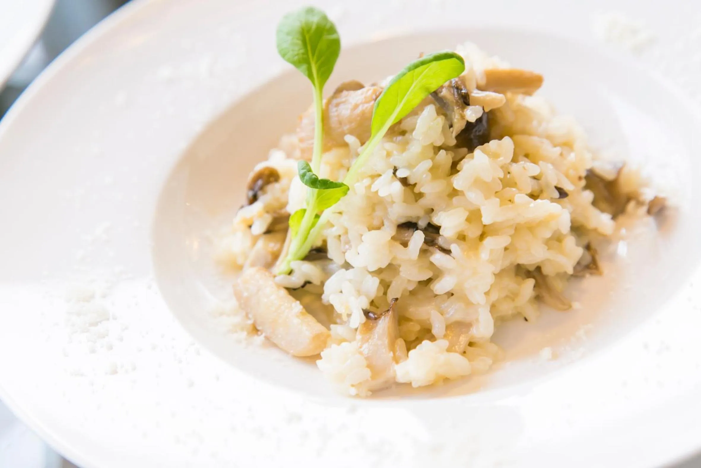 Food close-up in Ryokan Yoshidaya