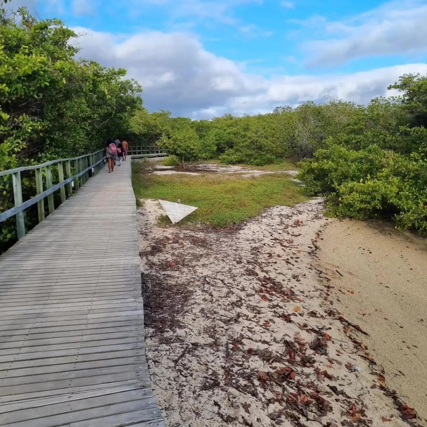 Natural landscape in Patty House Galapagos