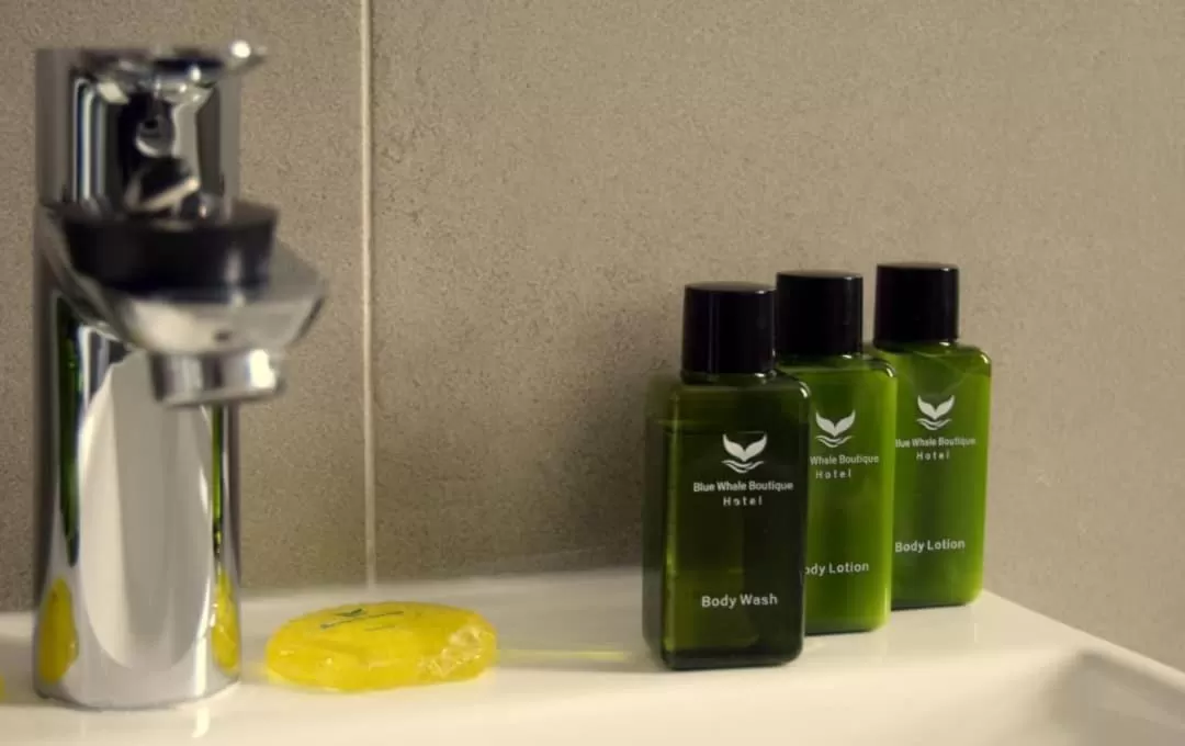 Standard Twin Room - single occupancy in Blue Whale Hotels