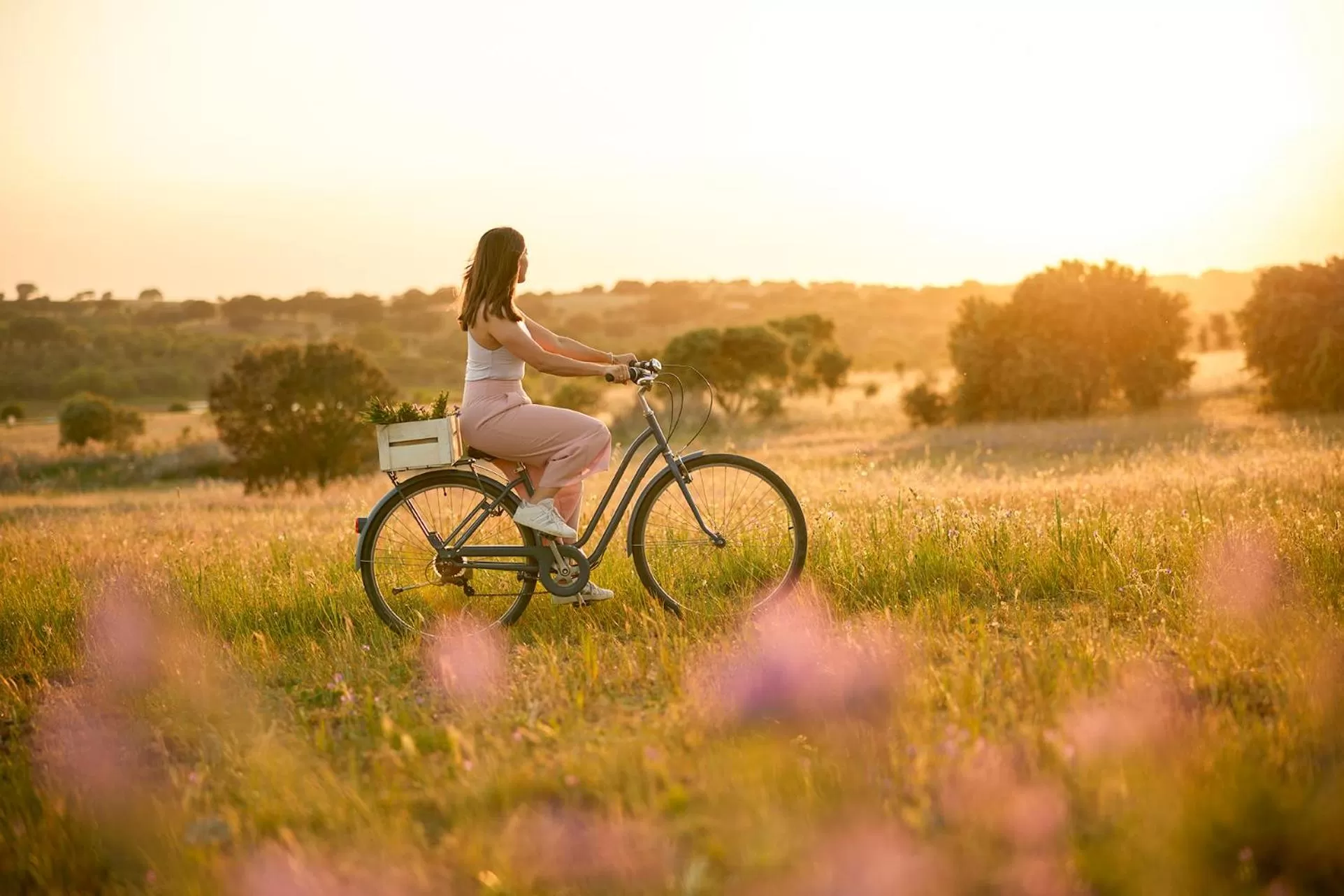 Activities in Octant Evora