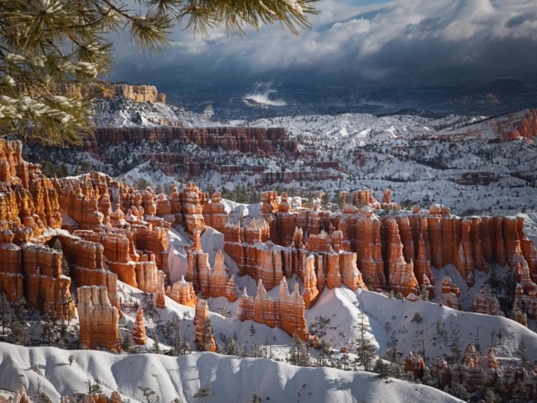 View (from property/room) in Bryce Trails Bed and Breakfast