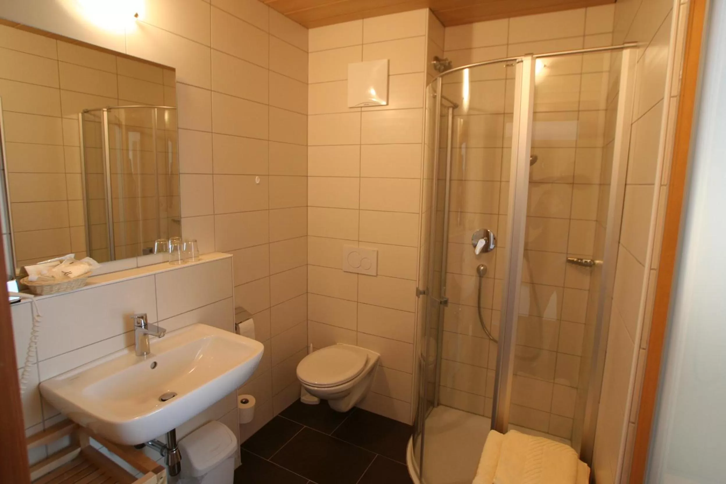 Bathroom in Hotel Engl