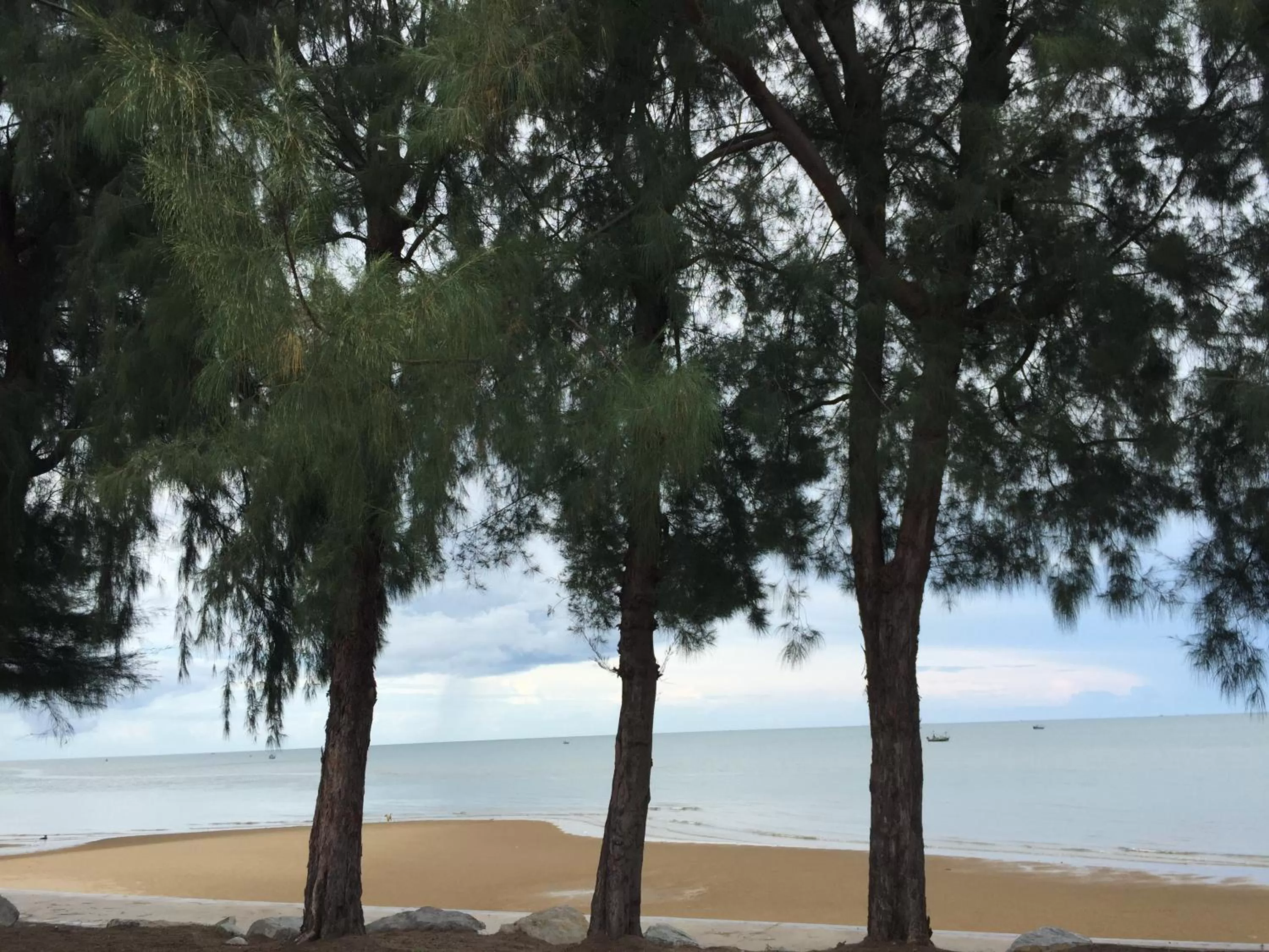 Beach in BC Summer Beach