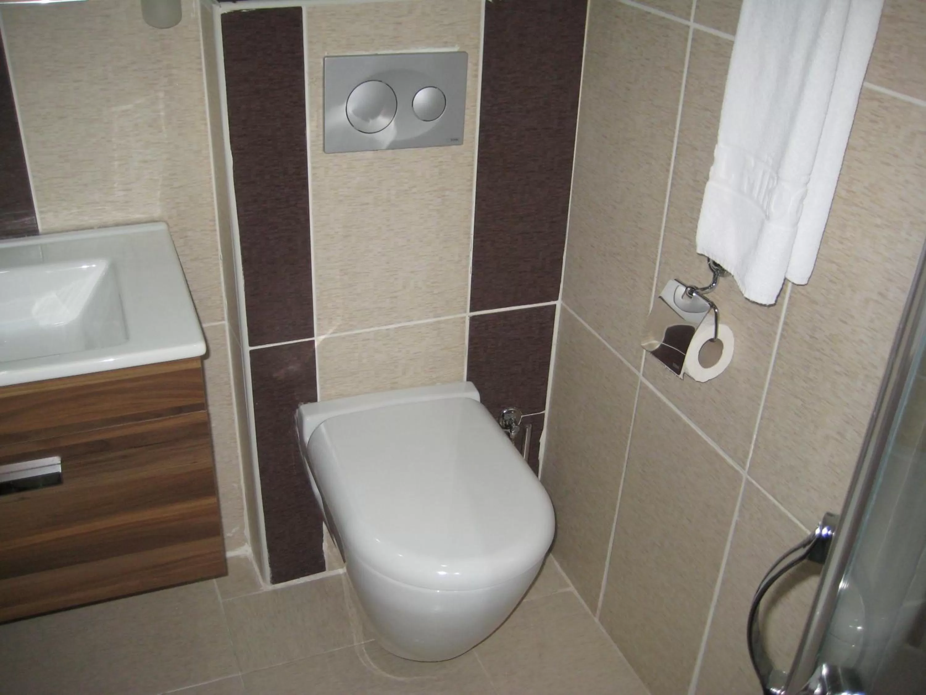 Shower, Bathroom in Miroglu Hotel